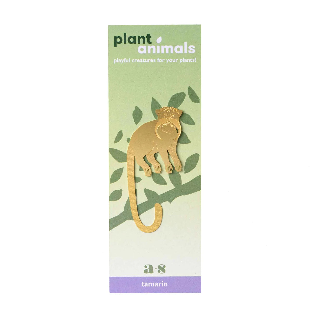 PLANT ANIMAL – Saguinus | Another Studio