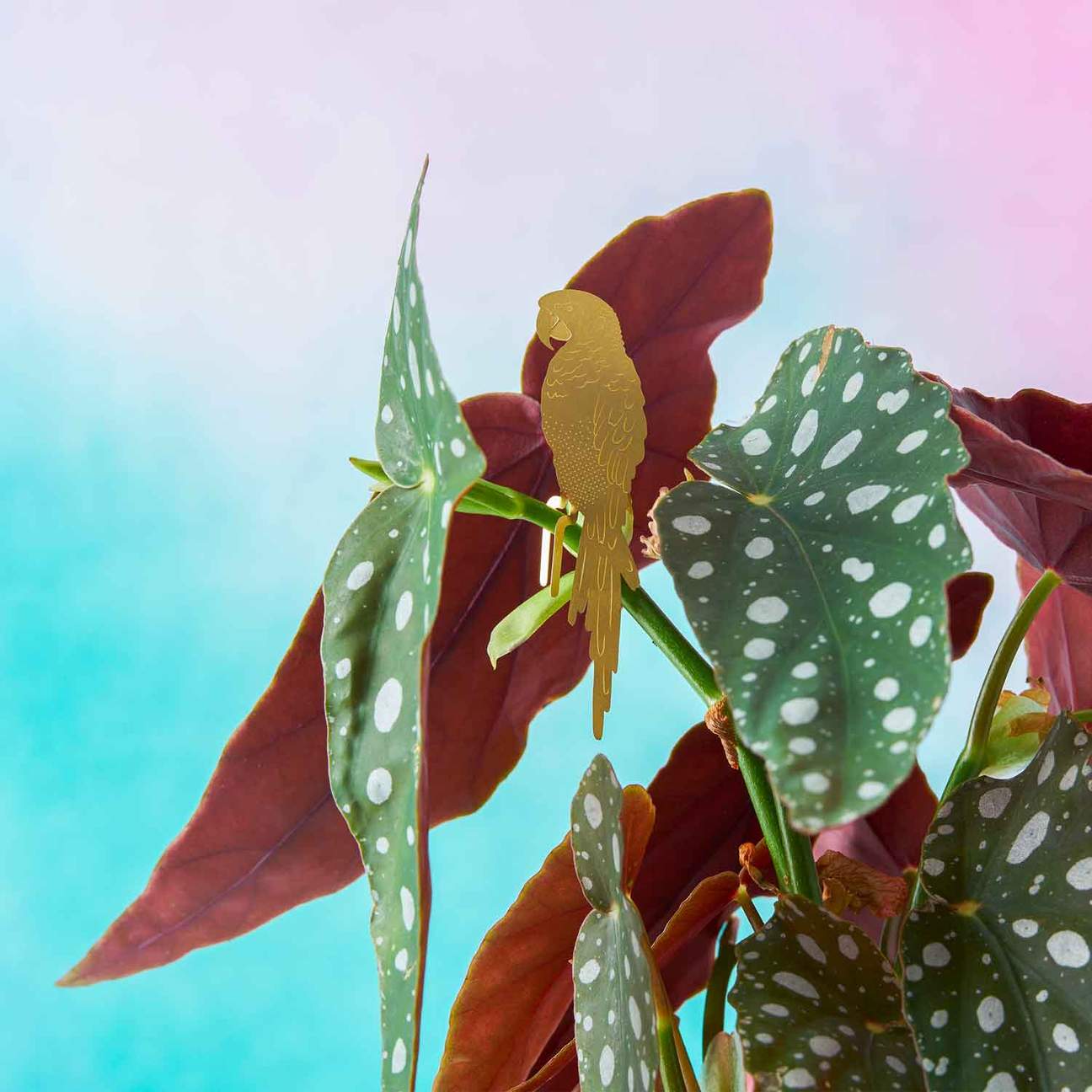 PLANT ANIMAL – Papagai | Another Studio - wearequiethumans