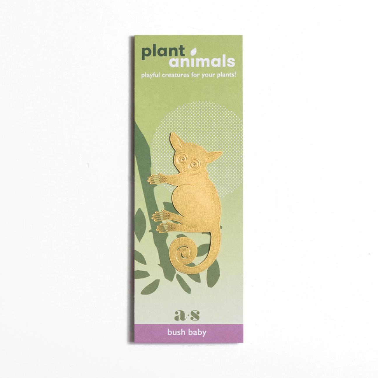 PLANT ANIMAL – Buschbaby | Another Studio - wearequiethumans