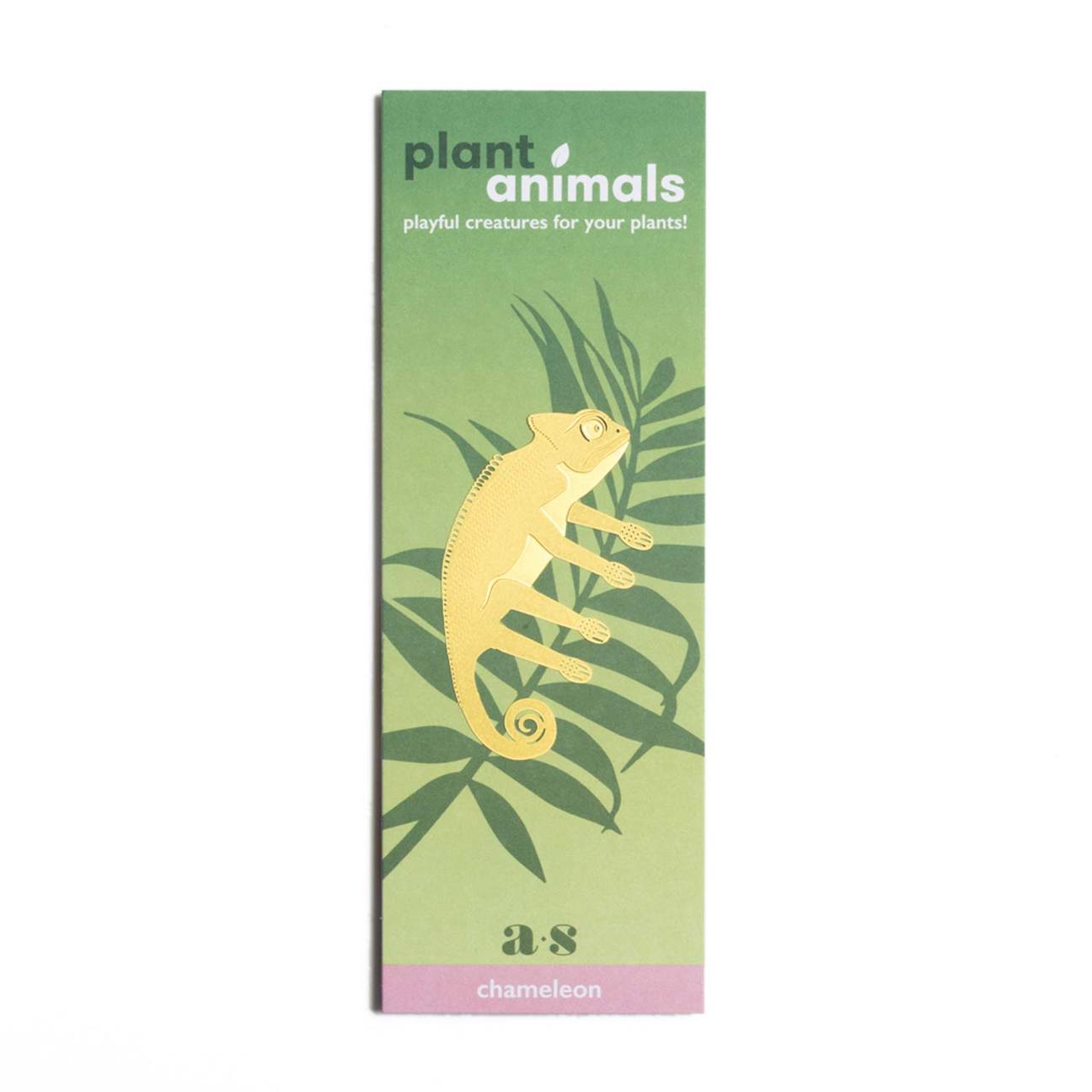 PLANT ANIMAL – Chameleon | Another Studio - wearequiethumans