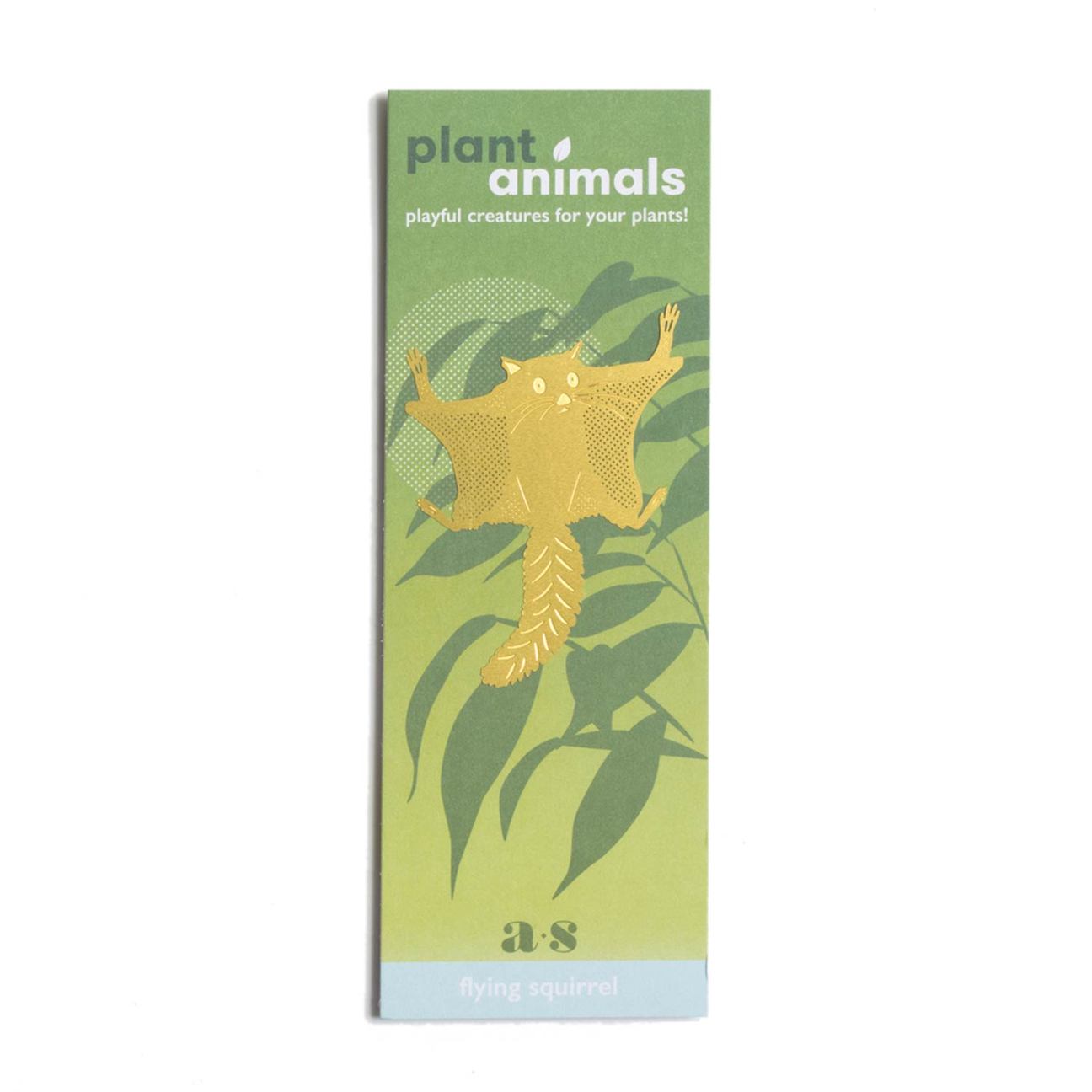 PLANT ANIMAL – Gleithörnchen | Another Studio - wearequiethumans