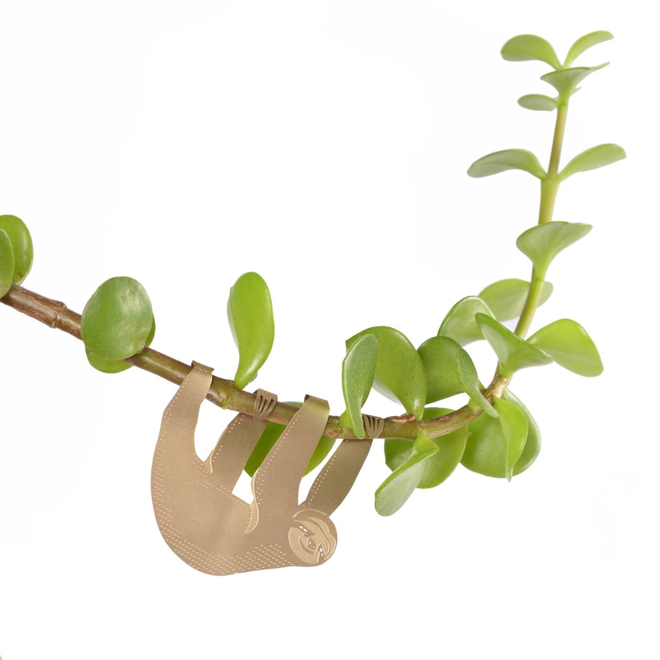 PLANT ANIMAL – Faultier | Another Studio - wearequiethumans