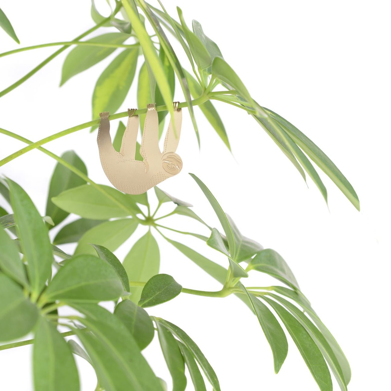 PLANT ANIMAL – Faultier | Another Studio - wearequiethumans