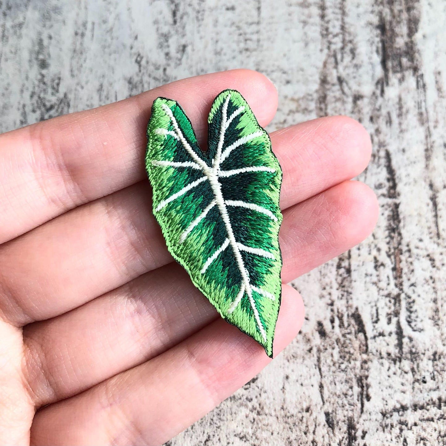 Alocasia Frydek Patch - zum Aufnähen oder Aufbügeln - wearequiethumans