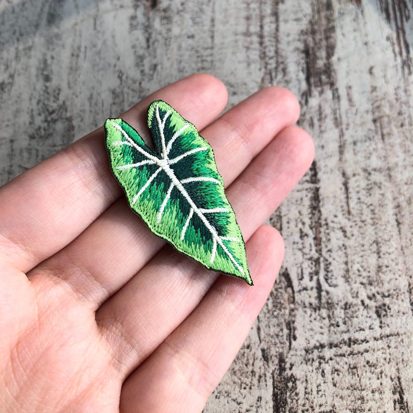 Alocasia Frydek Patch - zum Aufnähen oder Aufbügeln - wearequiethumans