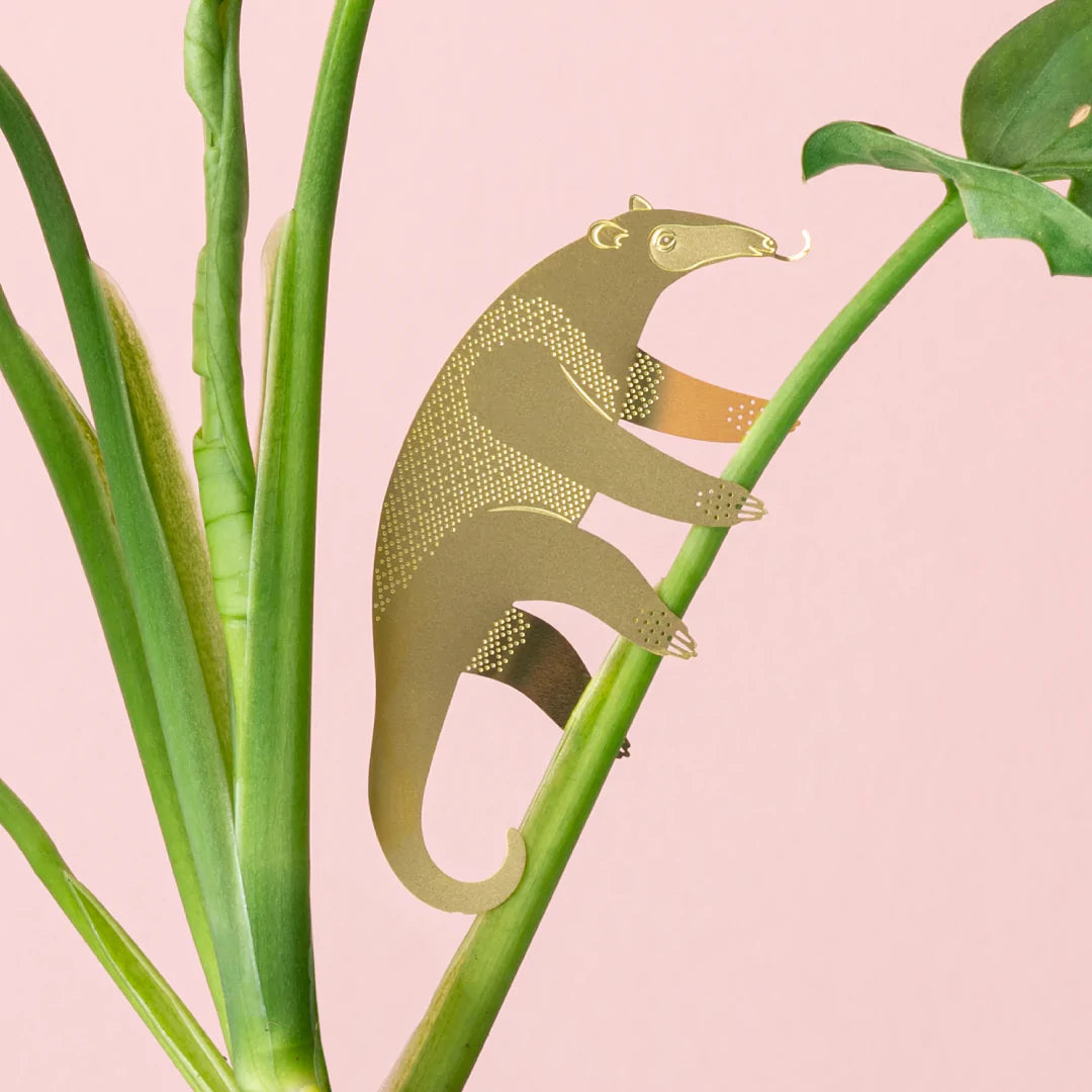 PLANT ANIMAL – Ameisenbären | Another Studio