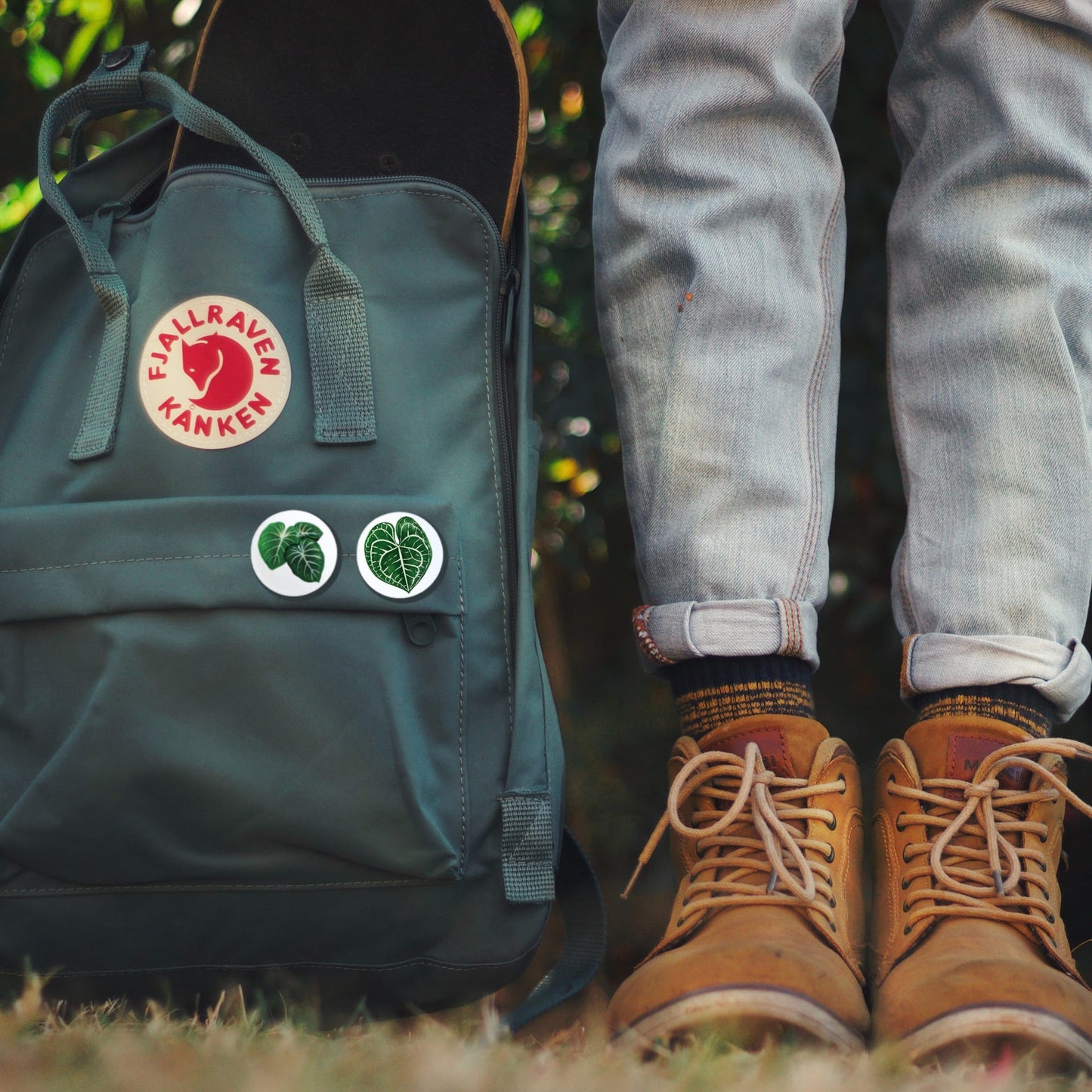 Button Anthurium clarinervium - wearequiethumans