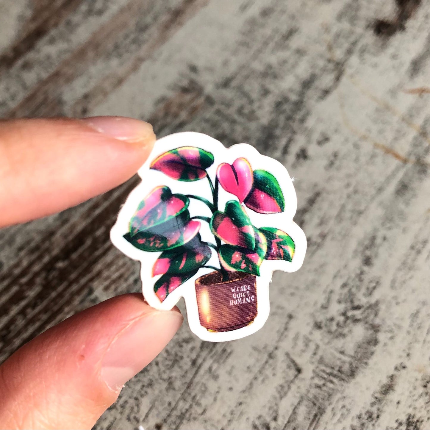 Sticker - Philodendron Pink Princess - wearequiethumans