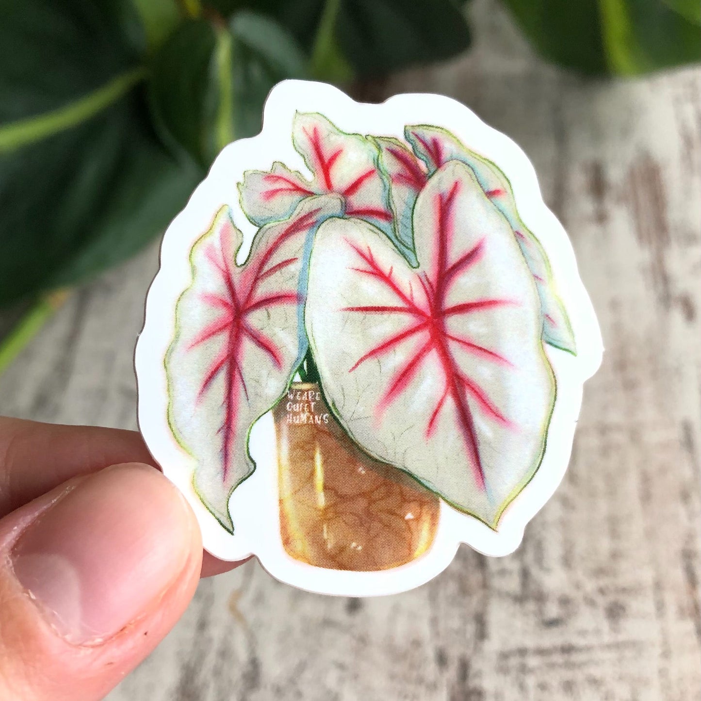 Sticker - Caladium Fiesta - wearequiethumans