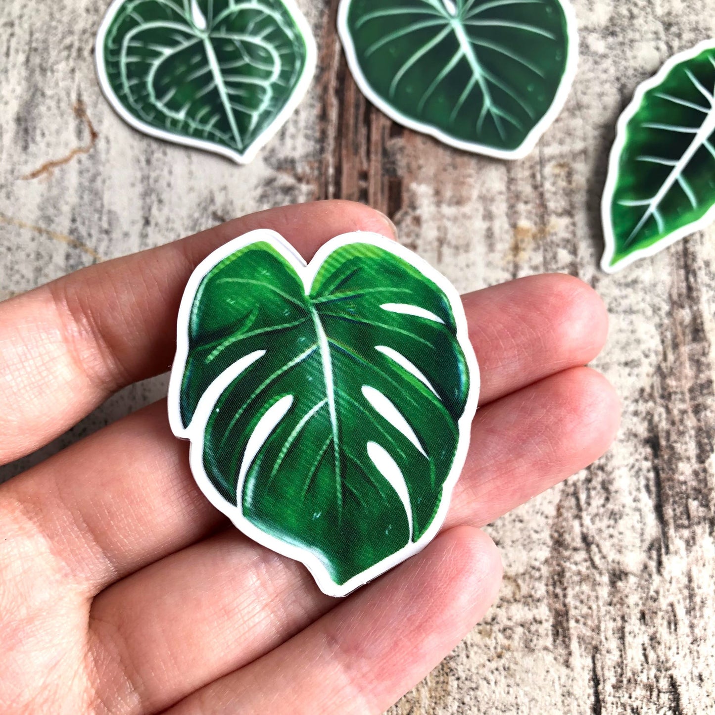 Sticker - Monstera deliciosa 1 Blatt transparent - wearequiethumans