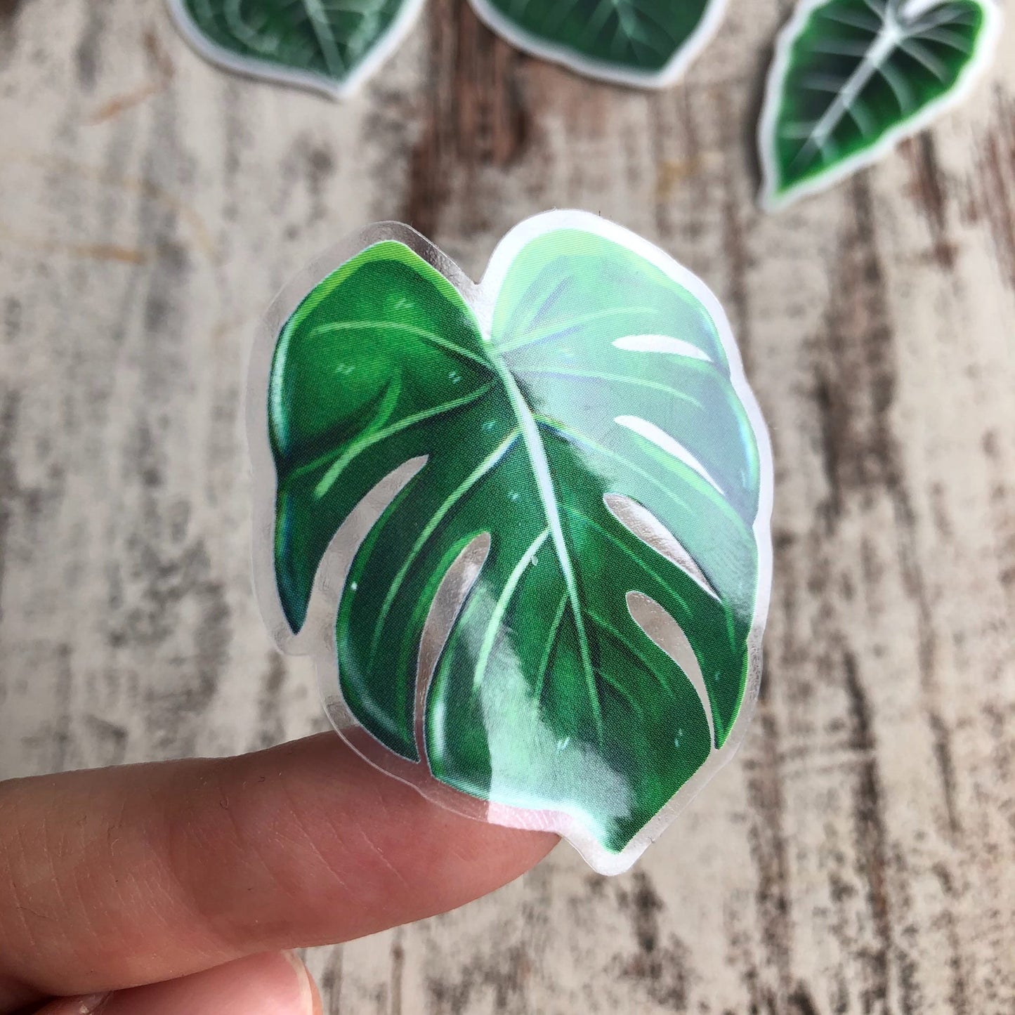 Sticker - Monstera deliciosa 1 Blatt transparent - wearequiethumans