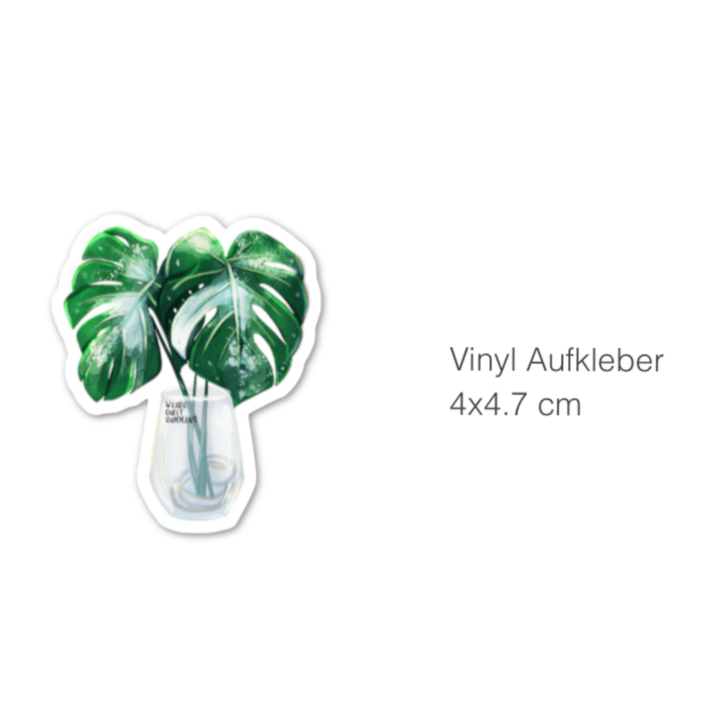 Sticker - Monstera variegata im Glas - wearequiethumans