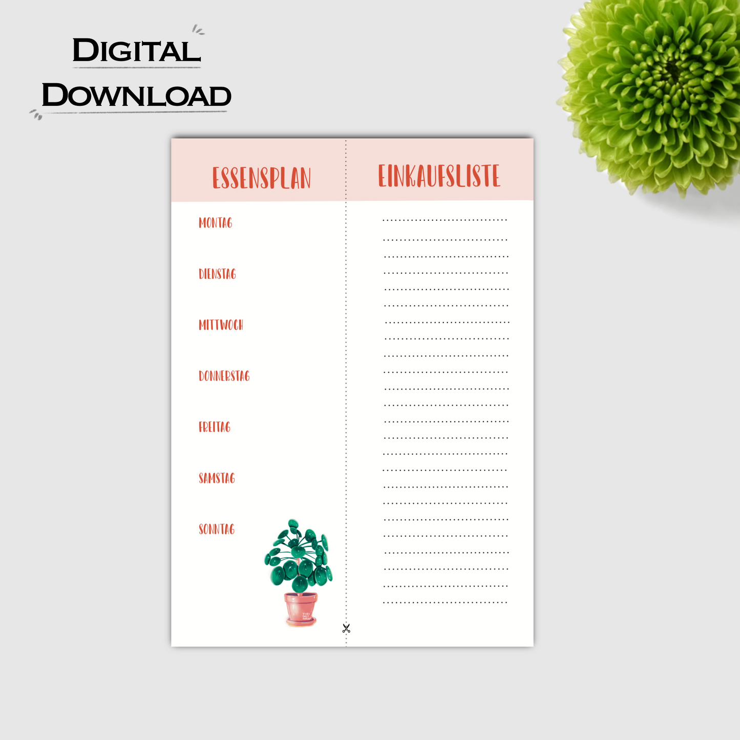 Essensplan | Einkaufsliste - Pilea Peperomioides Download - wearequiethumans