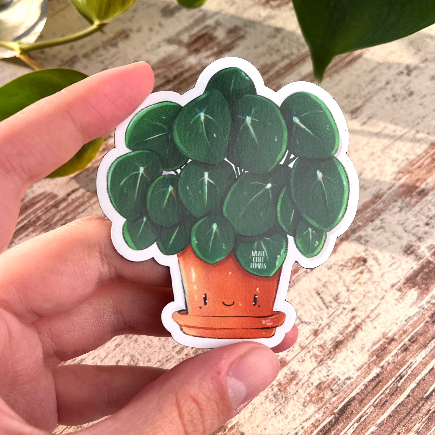 Magnet Pilea mit Gesicht - wearequiethumans