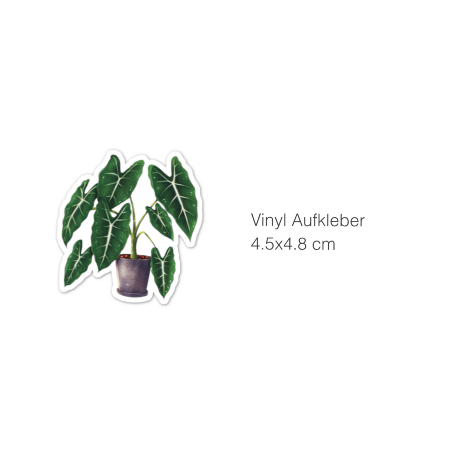 Sticker - Alocasia Frydek