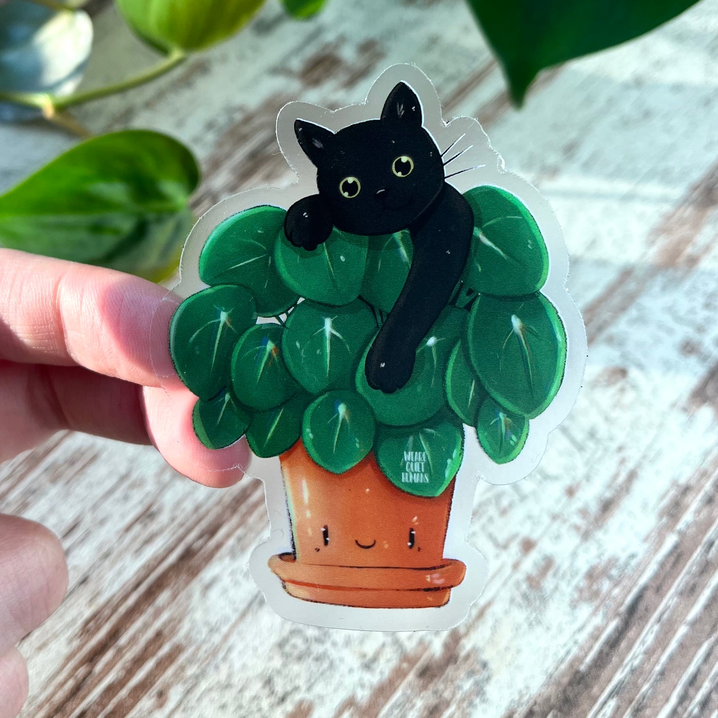 Sticker - Pilea mit Katze - wearequiethumans