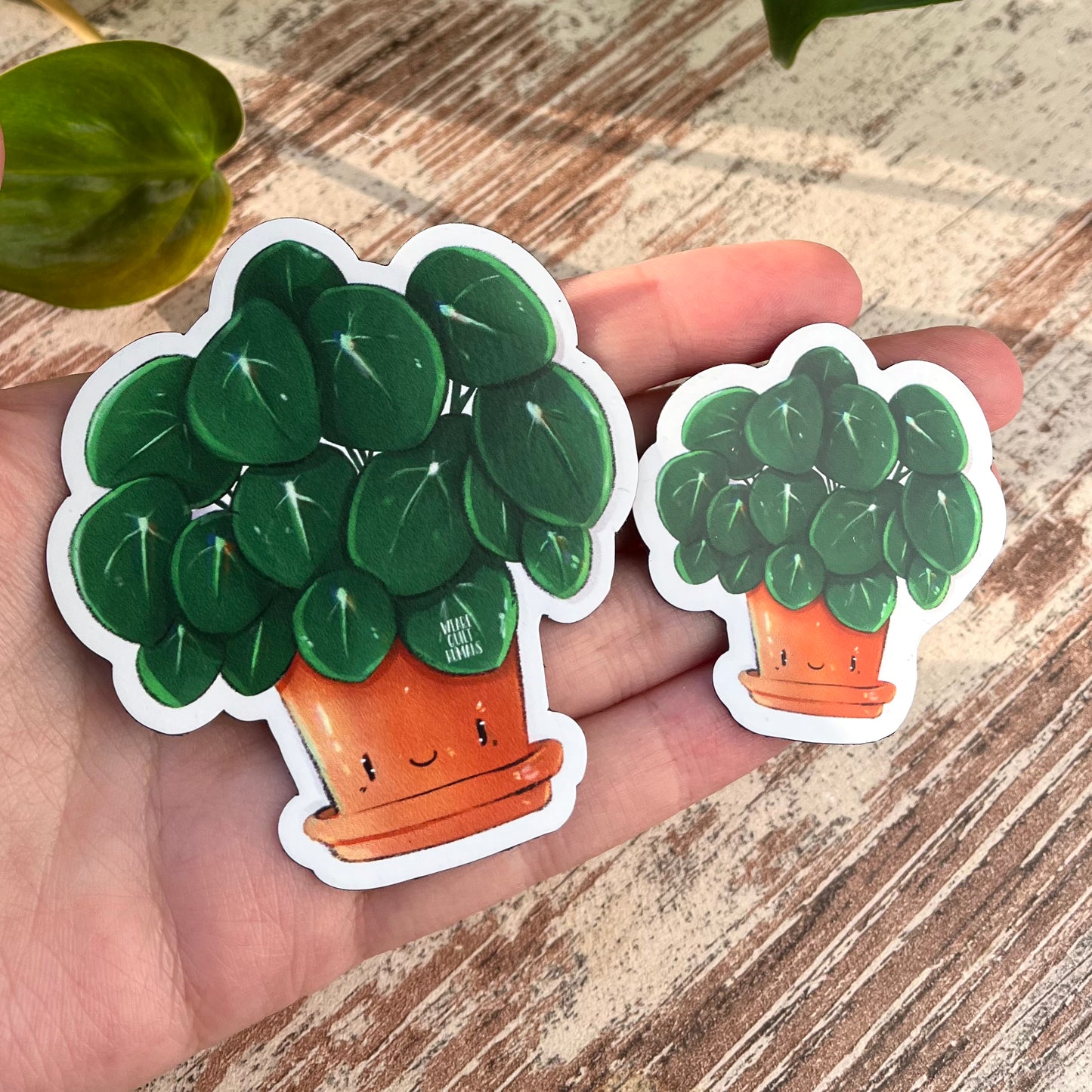Magnet Pilea mit Gesicht - wearequiethumans