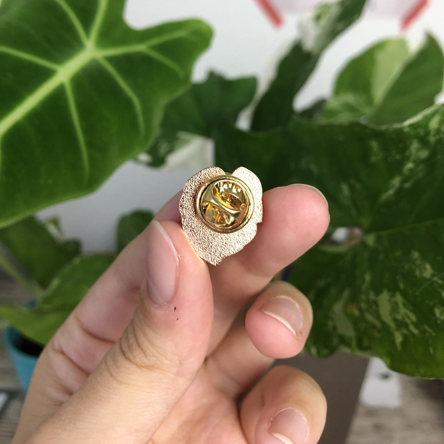 Pin - Monstera deliciosa - wearequiethumans