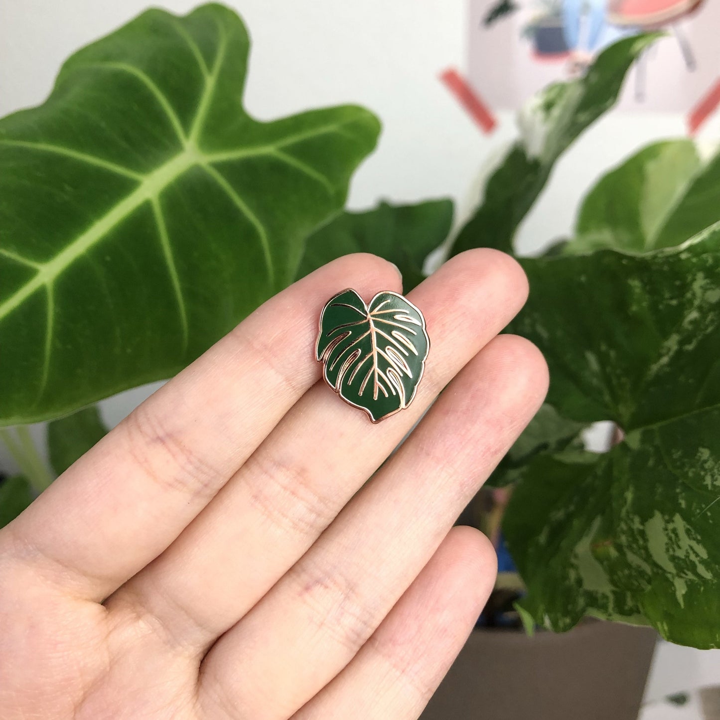 Pin - Monstera deliciosa - wearequiethumans