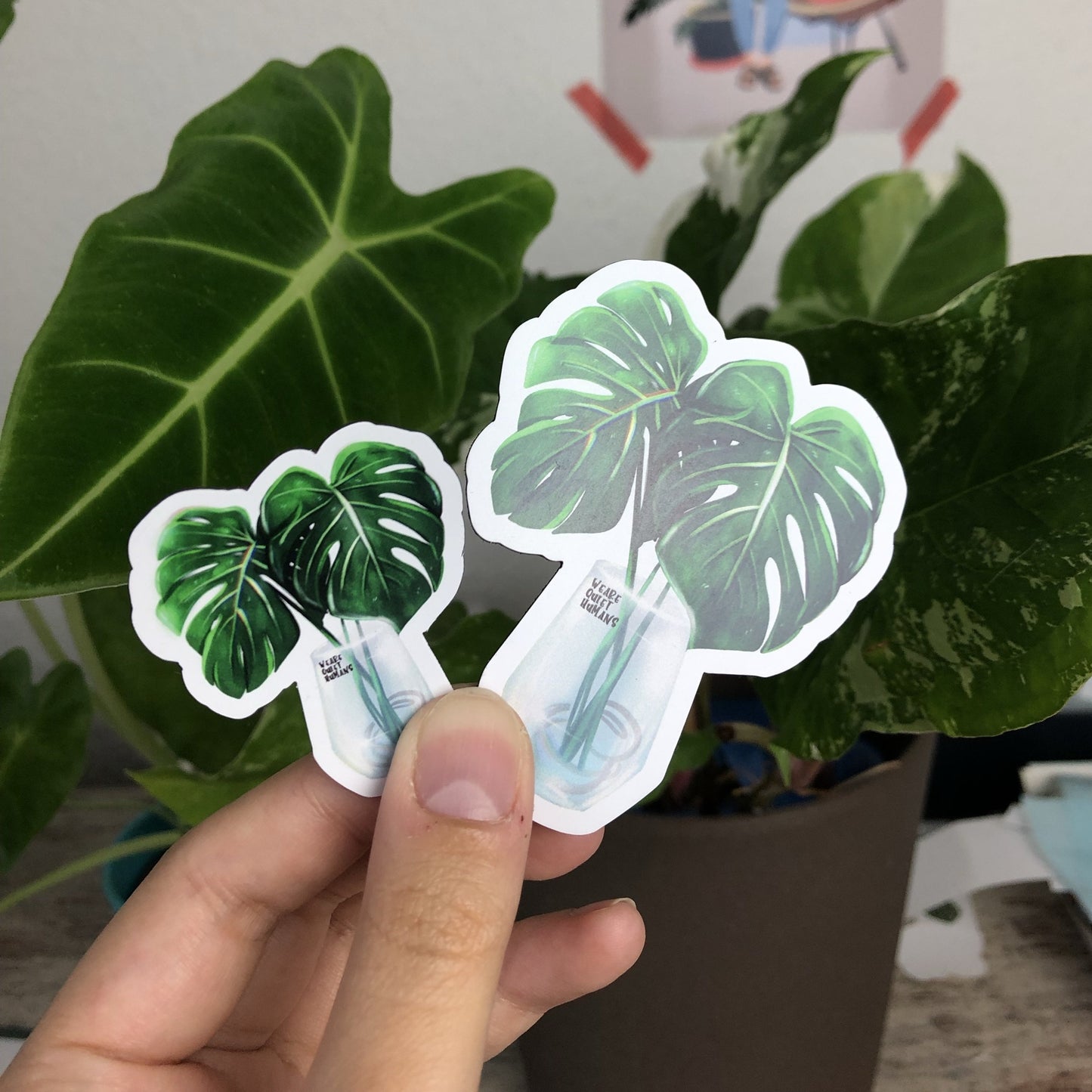 Magnet - Monstera deliciosa im Glas - wearequiethumans