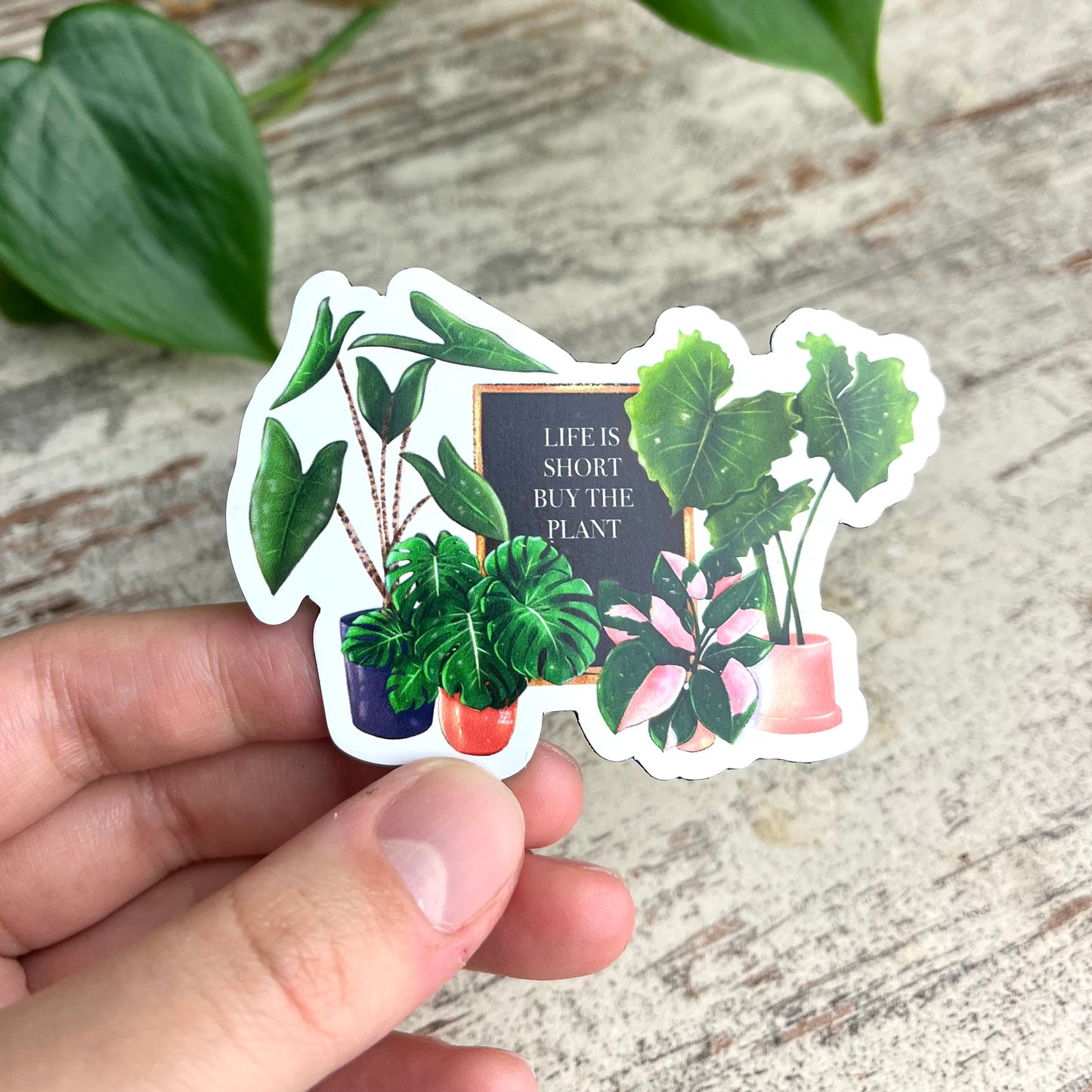 Magnet - Life is short buy the plant - wearequiethumans