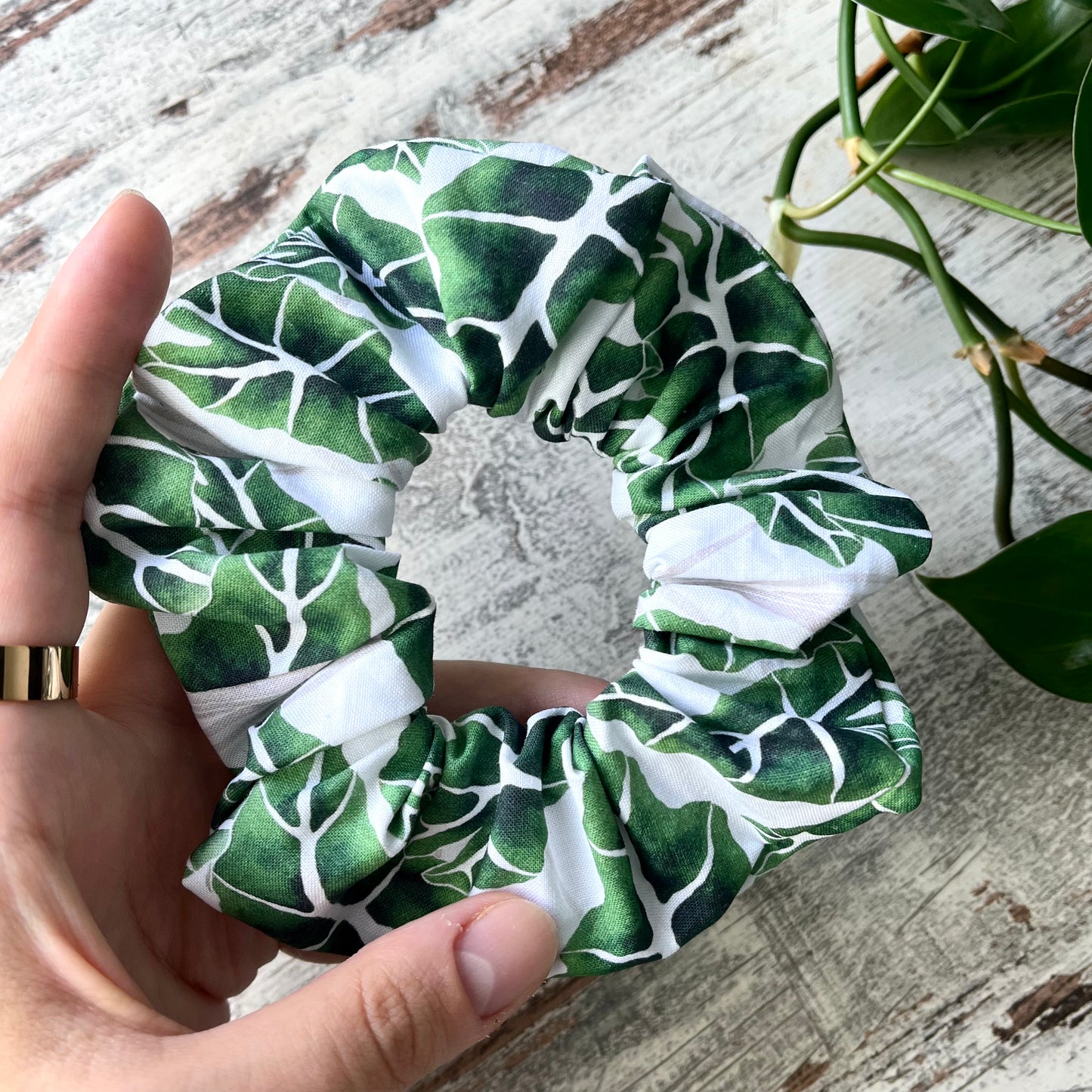 Scrunchie - Alocasia Frydek