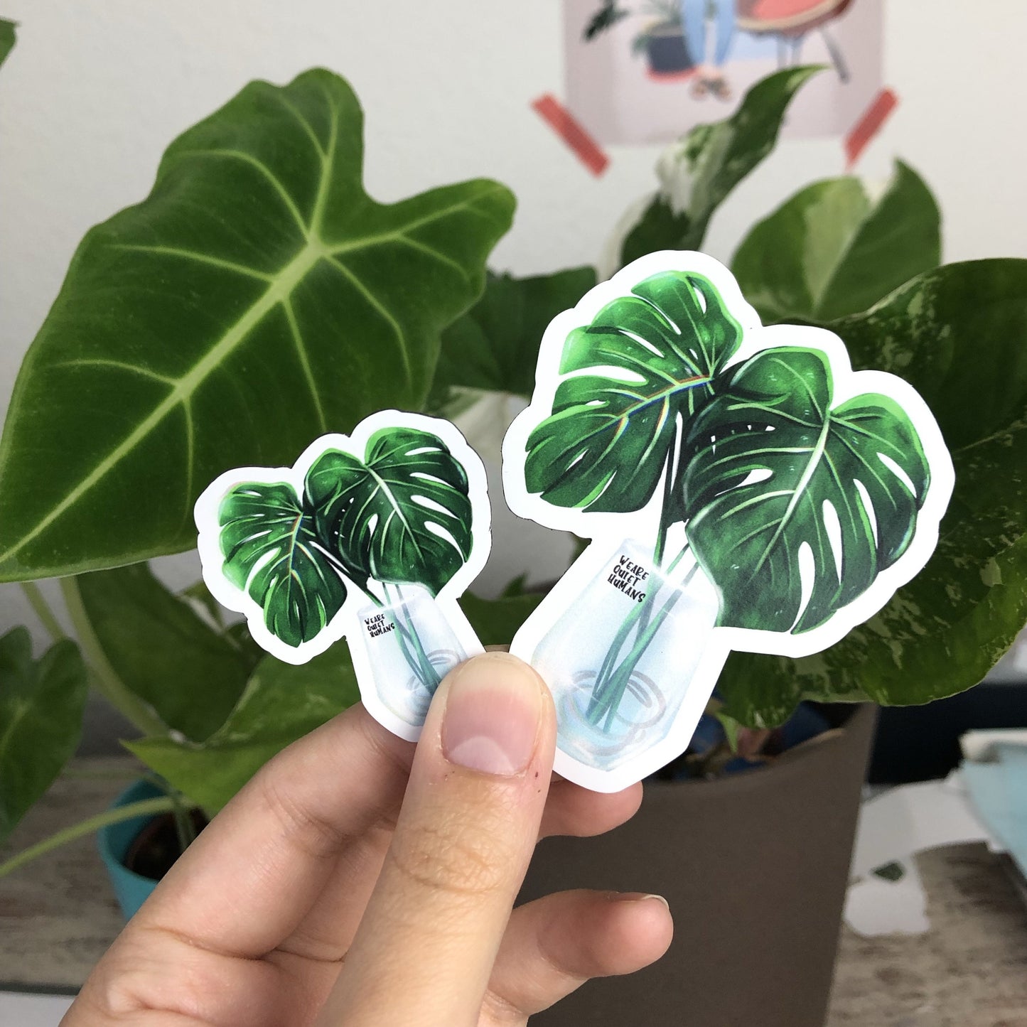 Magnet - Monstera deliciosa im Glas - wearequiethumans