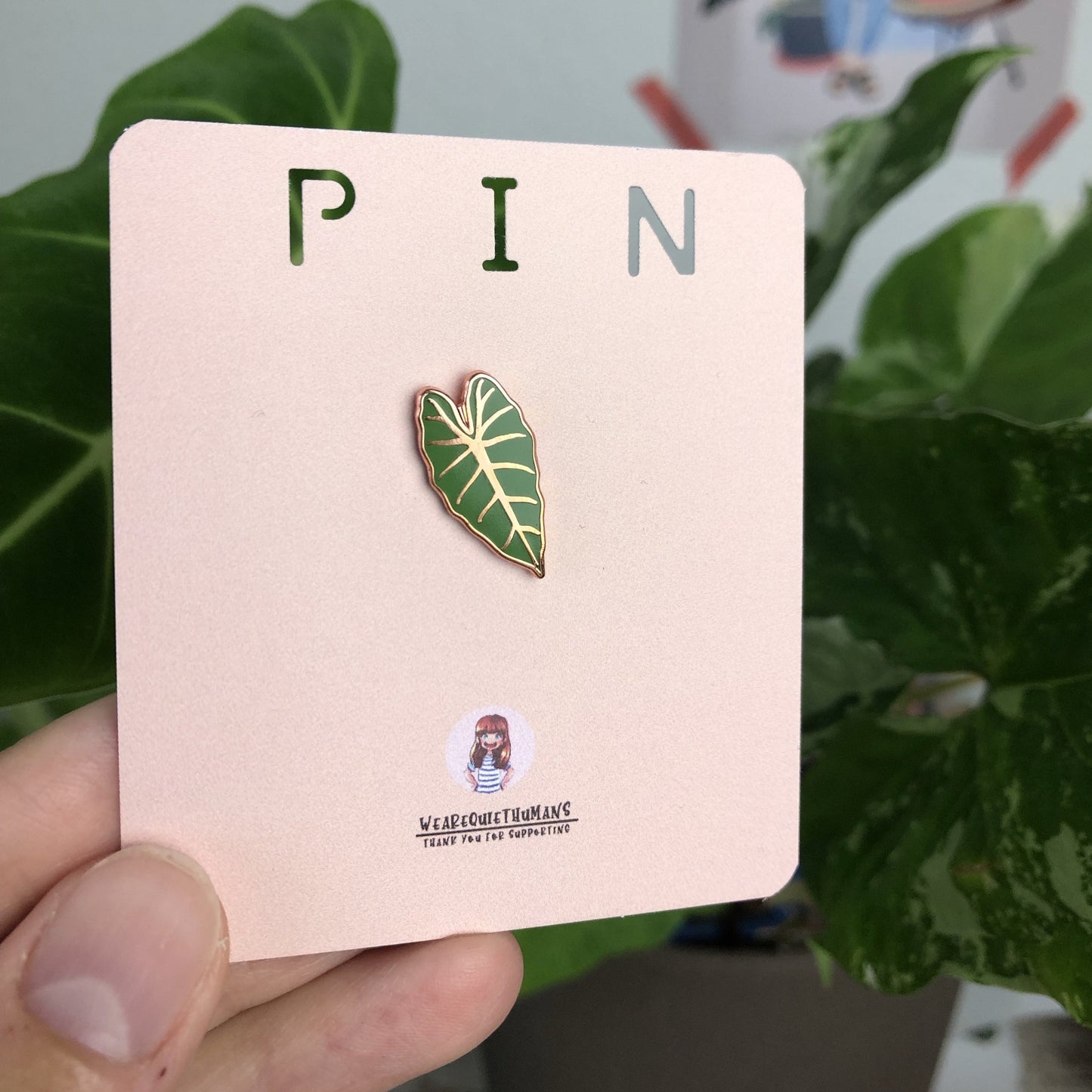 Pin - Alocasia Frydek - wearequiethumans