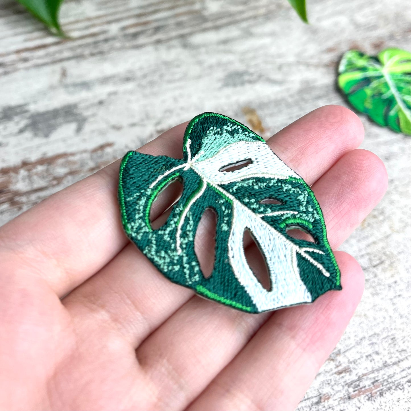 Patch Monstera adansonii variegata - zum Aufnähen oder Aufbügeln - wearequiethumans