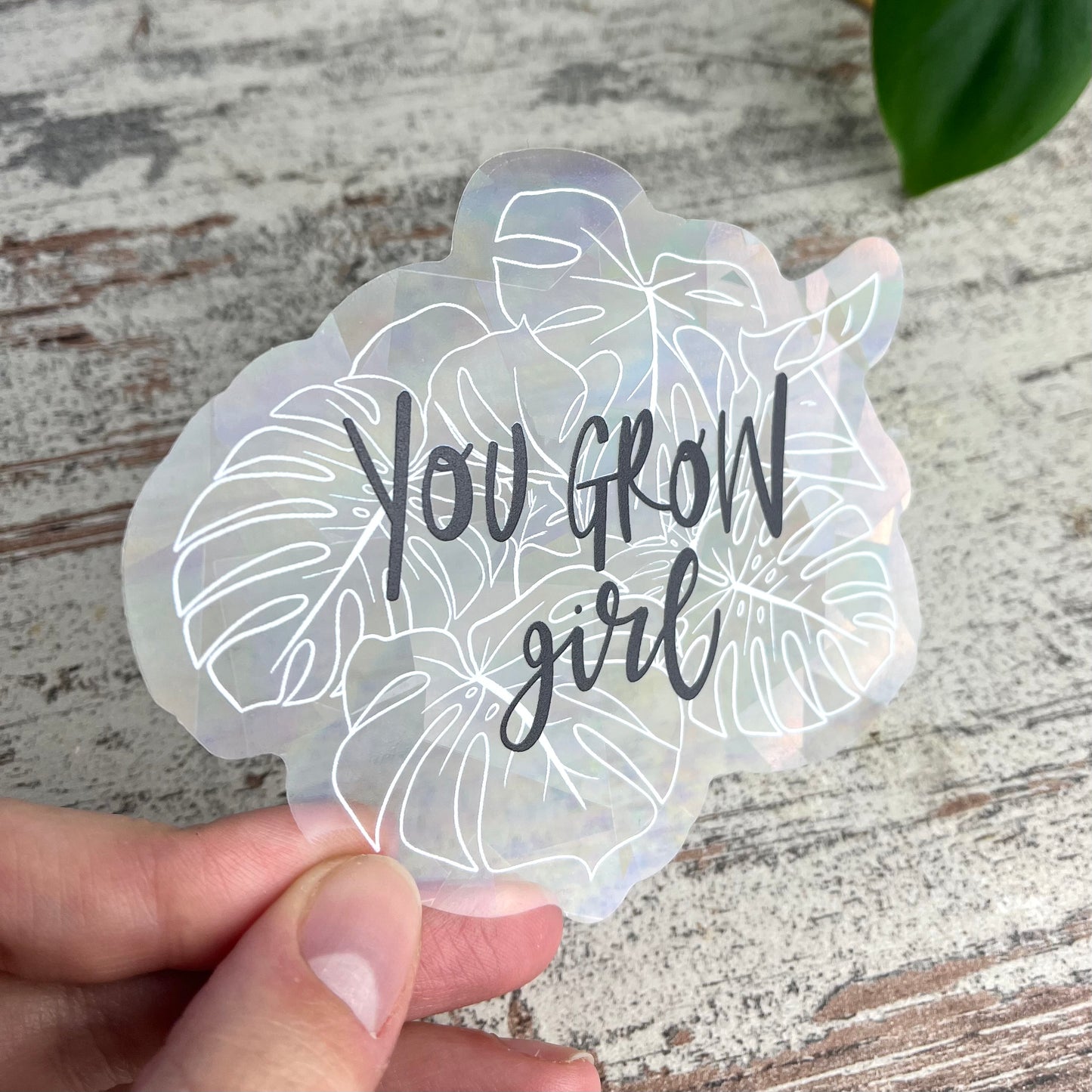 Sun Catcher Sticker - You grow girl Monstera - wearequiethumans