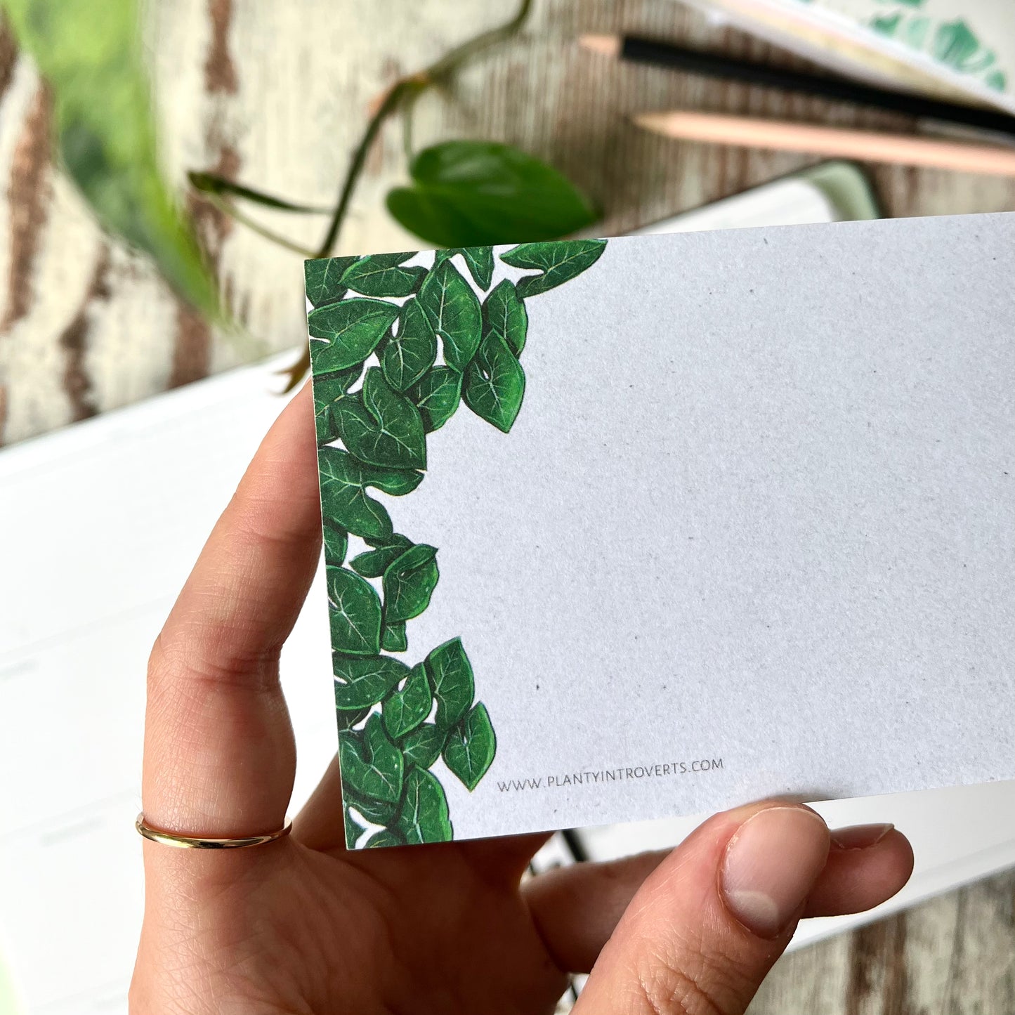 Notizblock A7 quer - Syngonium