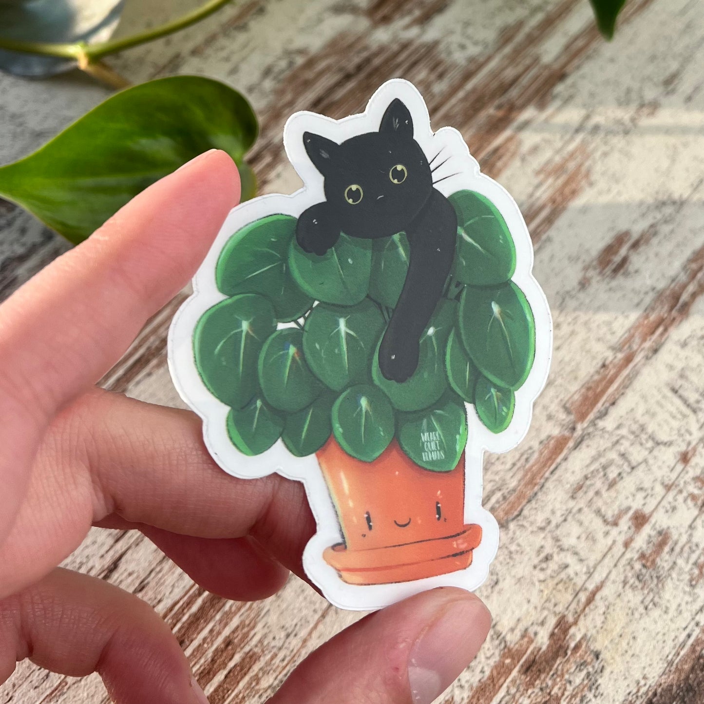Sticker - Pilea mit Katze - wearequiethumans