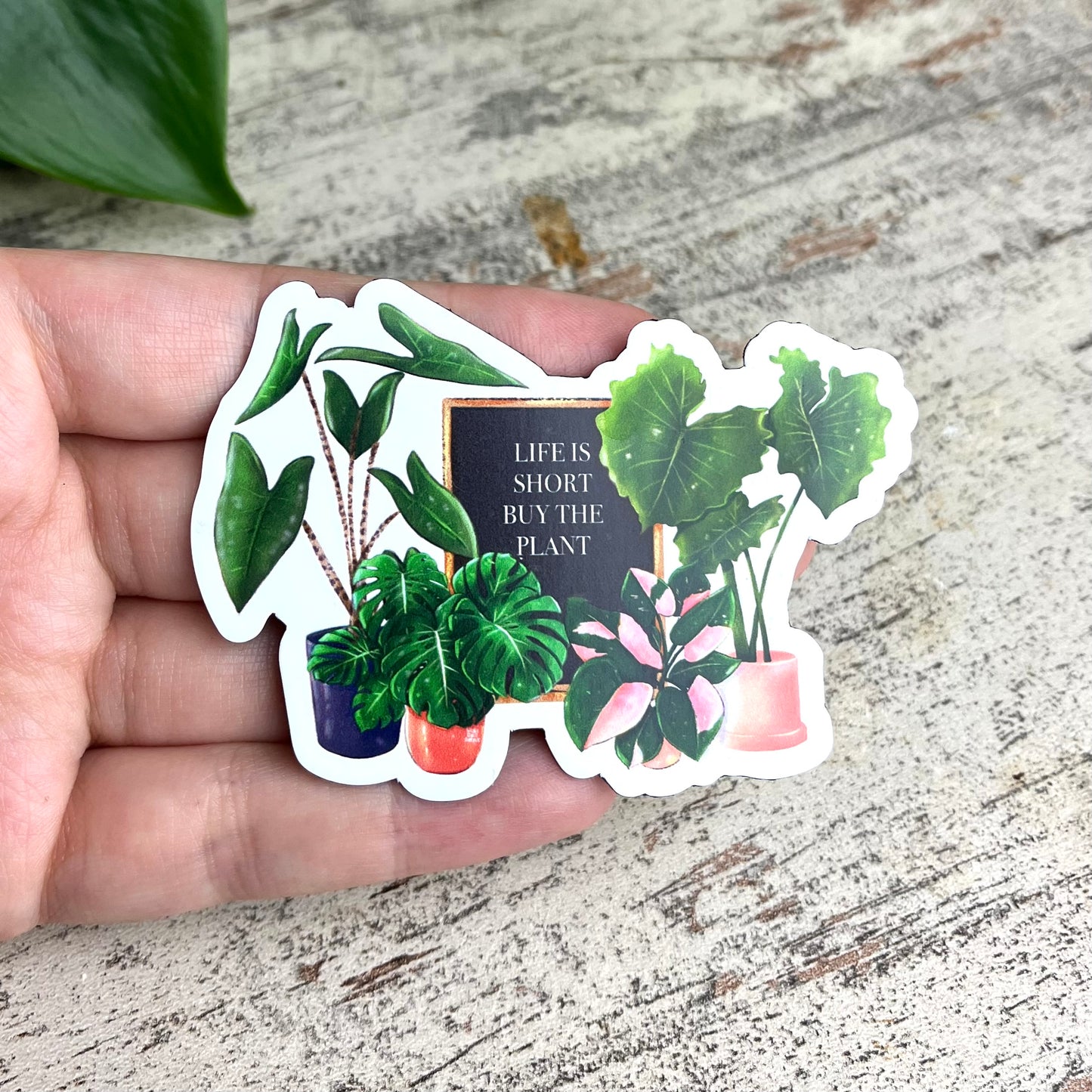 Magnet - Life is short buy the plant - wearequiethumans