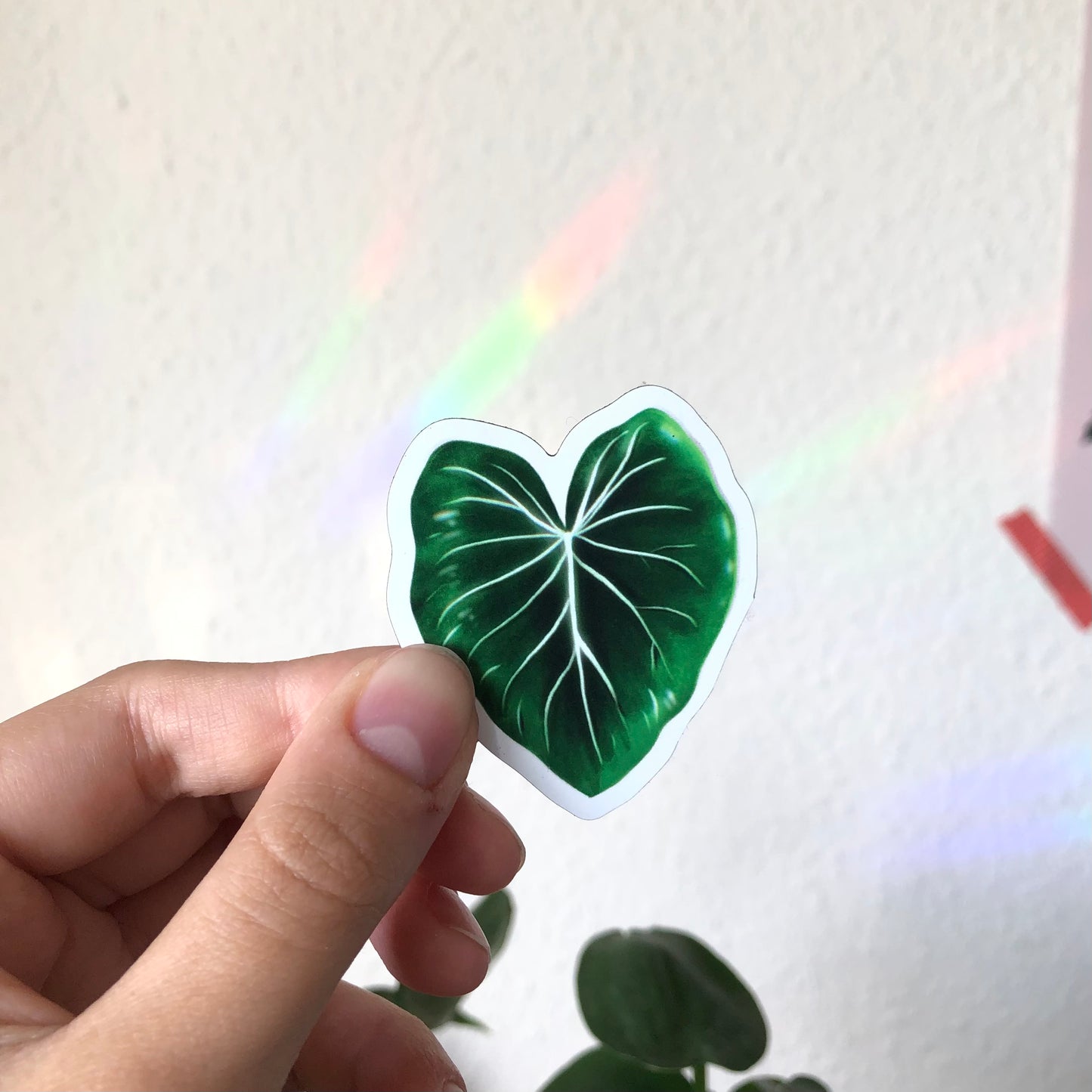 Magnet - Philodendron - 1 Blatt - wearequiethumans