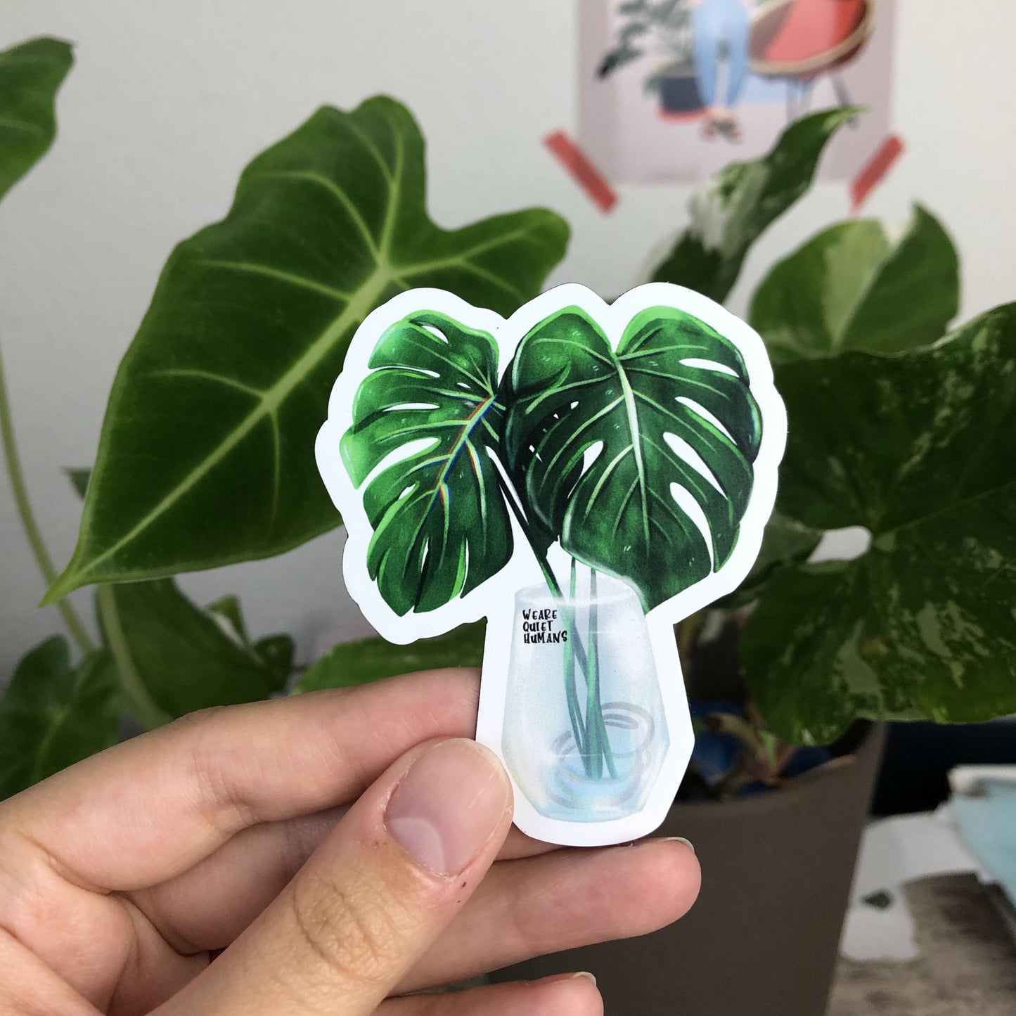 Magnet - Monstera deliciosa im Glas - wearequiethumans