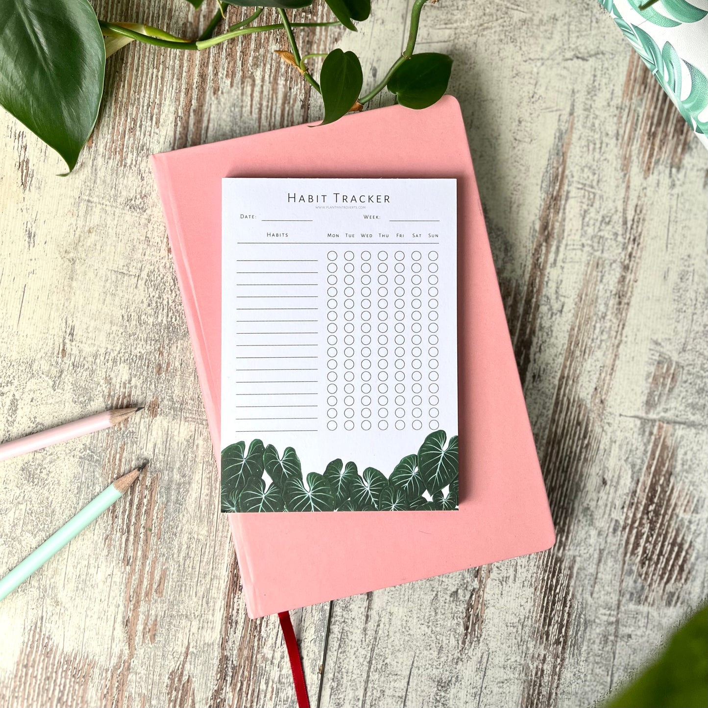 Habit Tracker - A6 - Gewohnheitstracker Philodendron Gloriosum