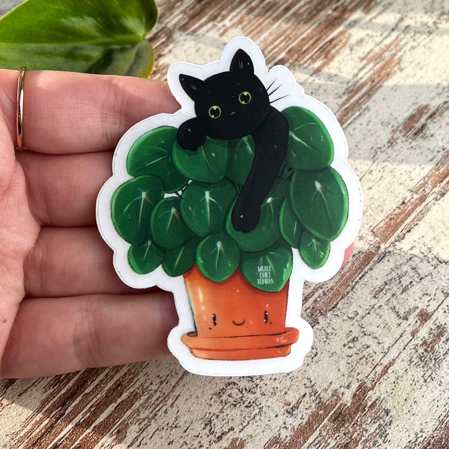 Sticker - Pilea mit Katze - wearequiethumans