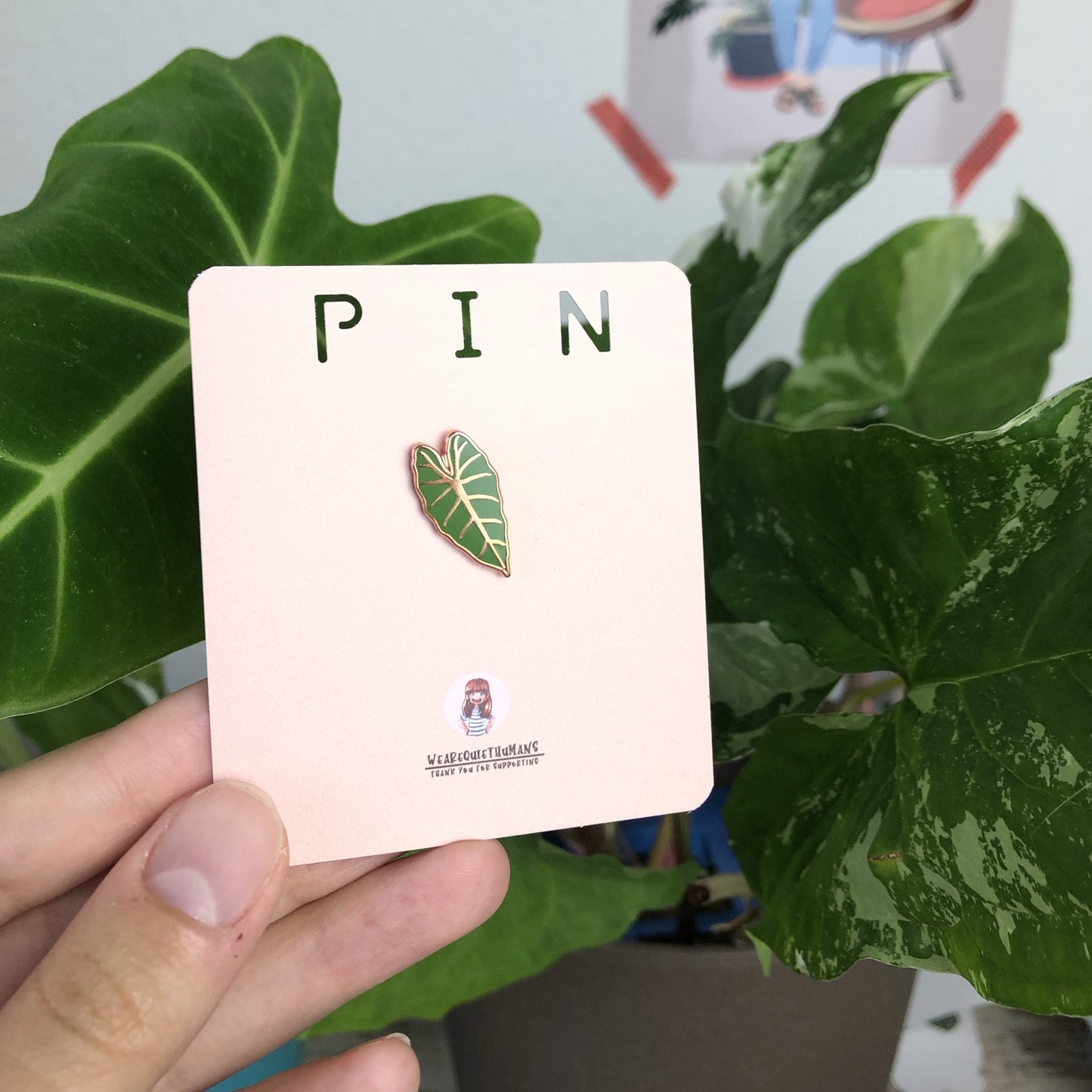 Pin - Alocasia Frydek - wearequiethumans