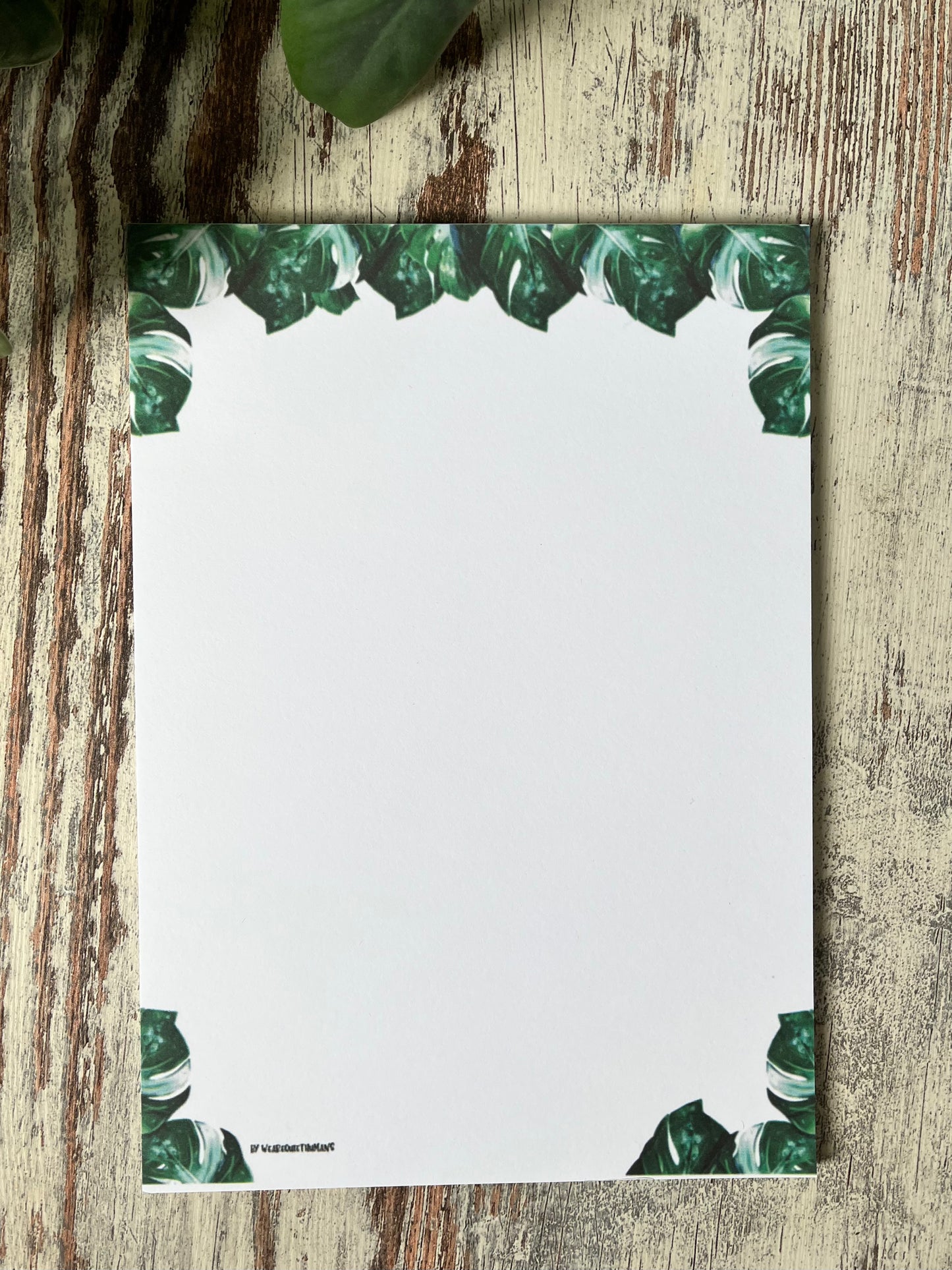 B-Ware: Notizblock A5 Monstera variegata blanko - wearequiethumans