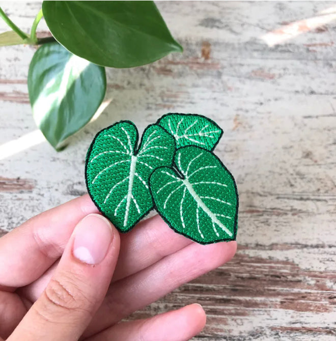 Patch Philodendron Gloriosum - 3 Blätter - wearequiethumans