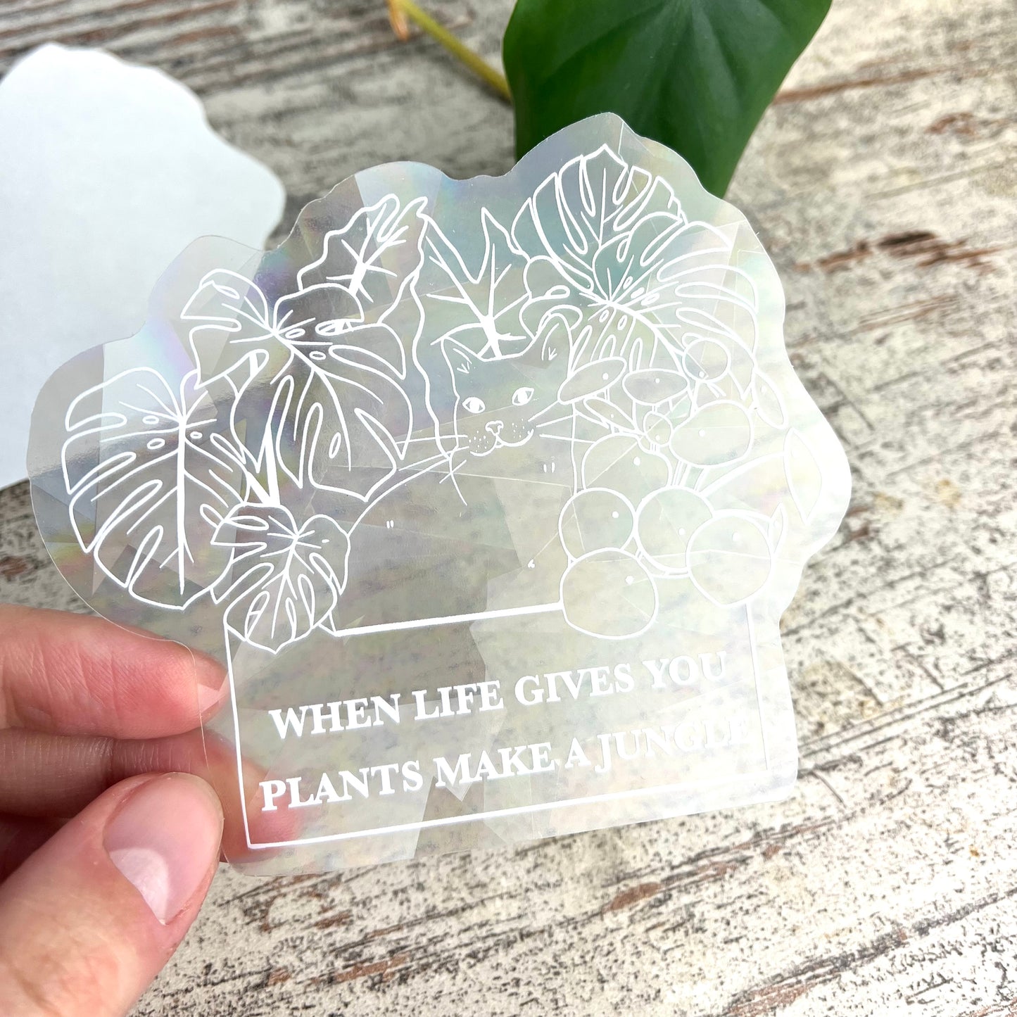 Sun Catcher Sticker - When Life gives you plants - wearequiethumans