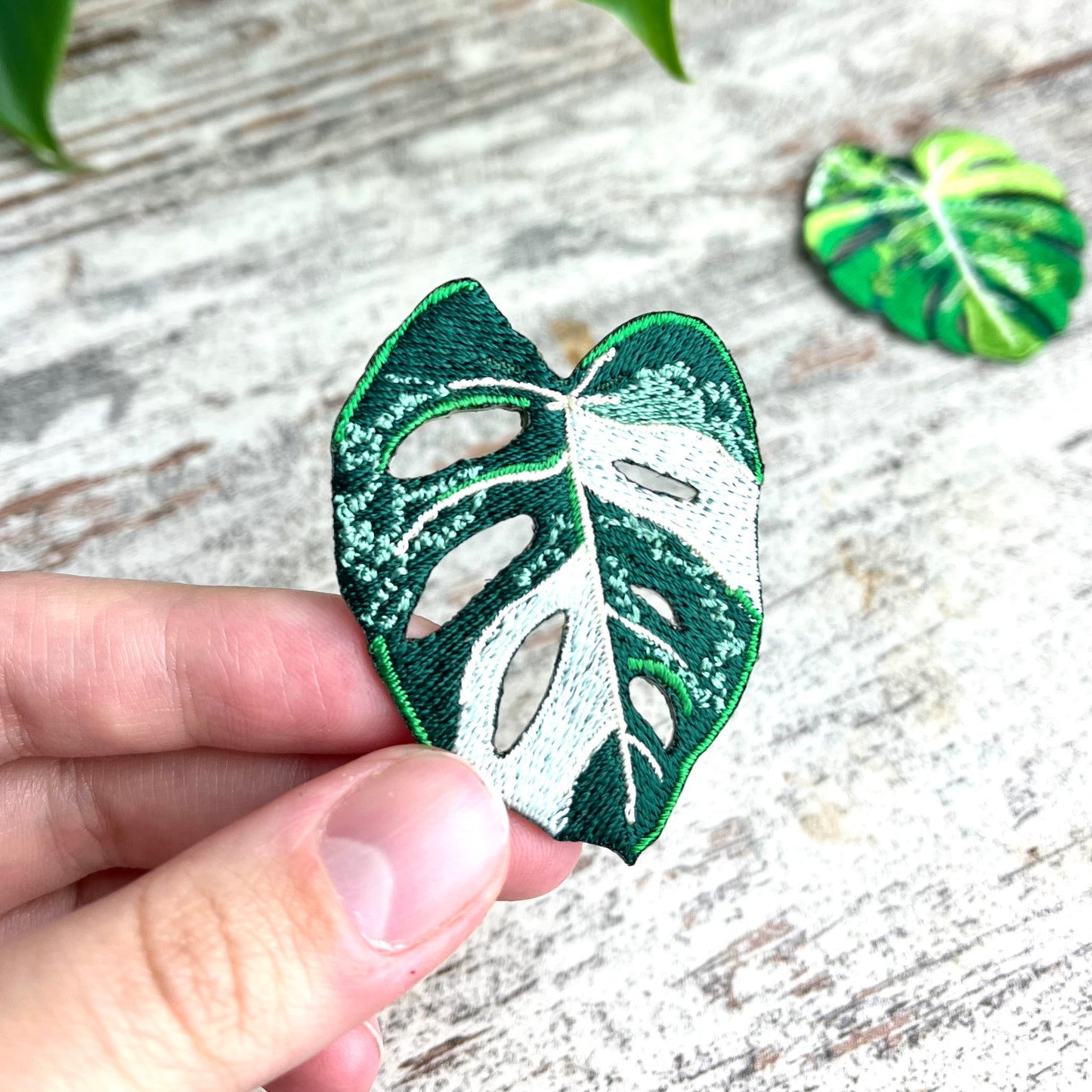 Patch Monstera adansonii variegata - zum Aufnähen oder Aufbügeln - wearequiethumans