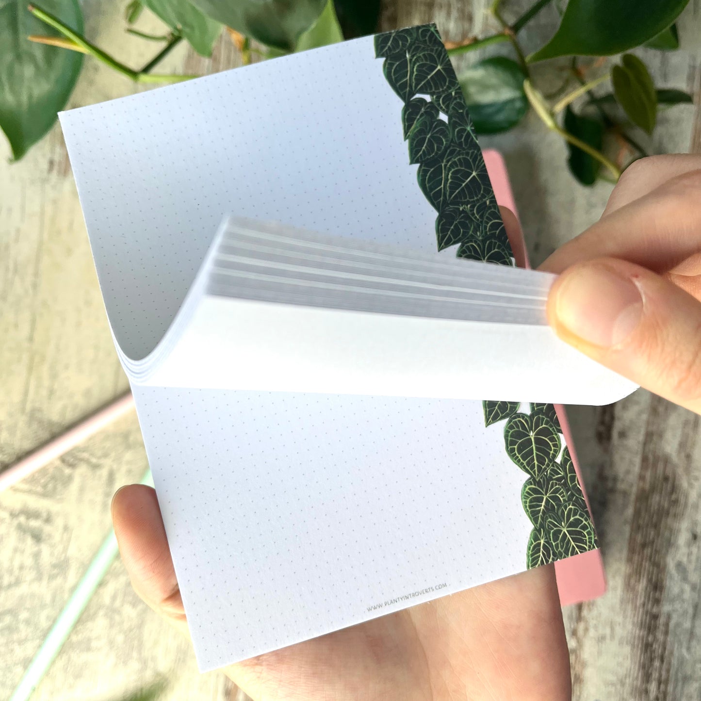 Notizblock A6 - mini dotted - Anthurium Clarinervium