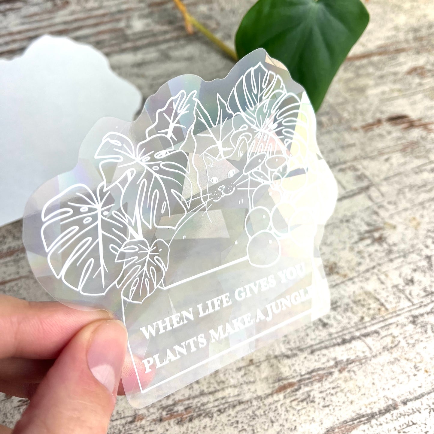 Sun Catcher Sticker - When Life gives you plants - wearequiethumans
