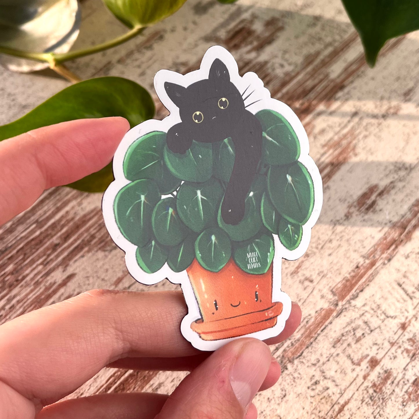 Magnet Pilea mit Katze - wearequiethumans