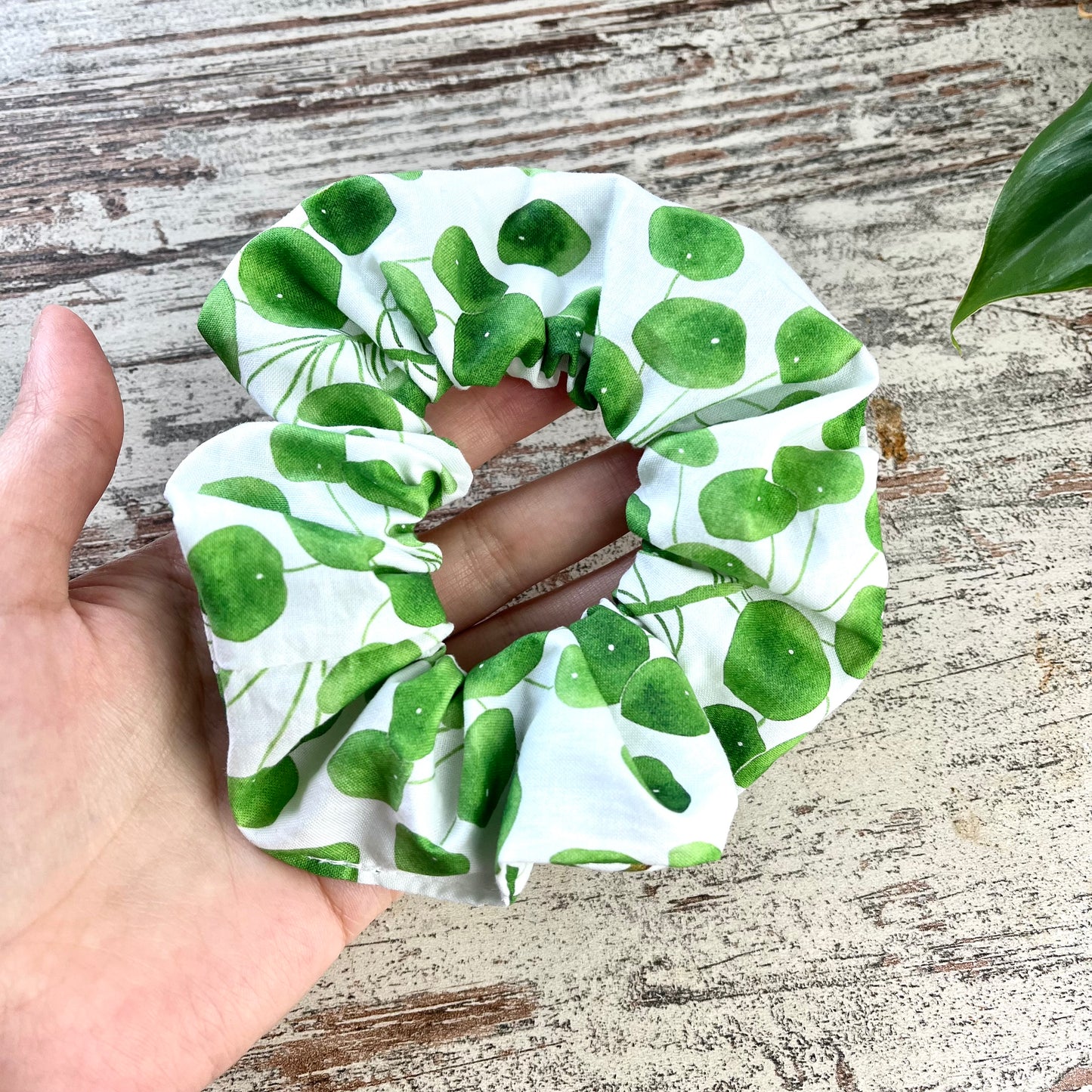 Scrunchie - Pilea - wearequiethumans