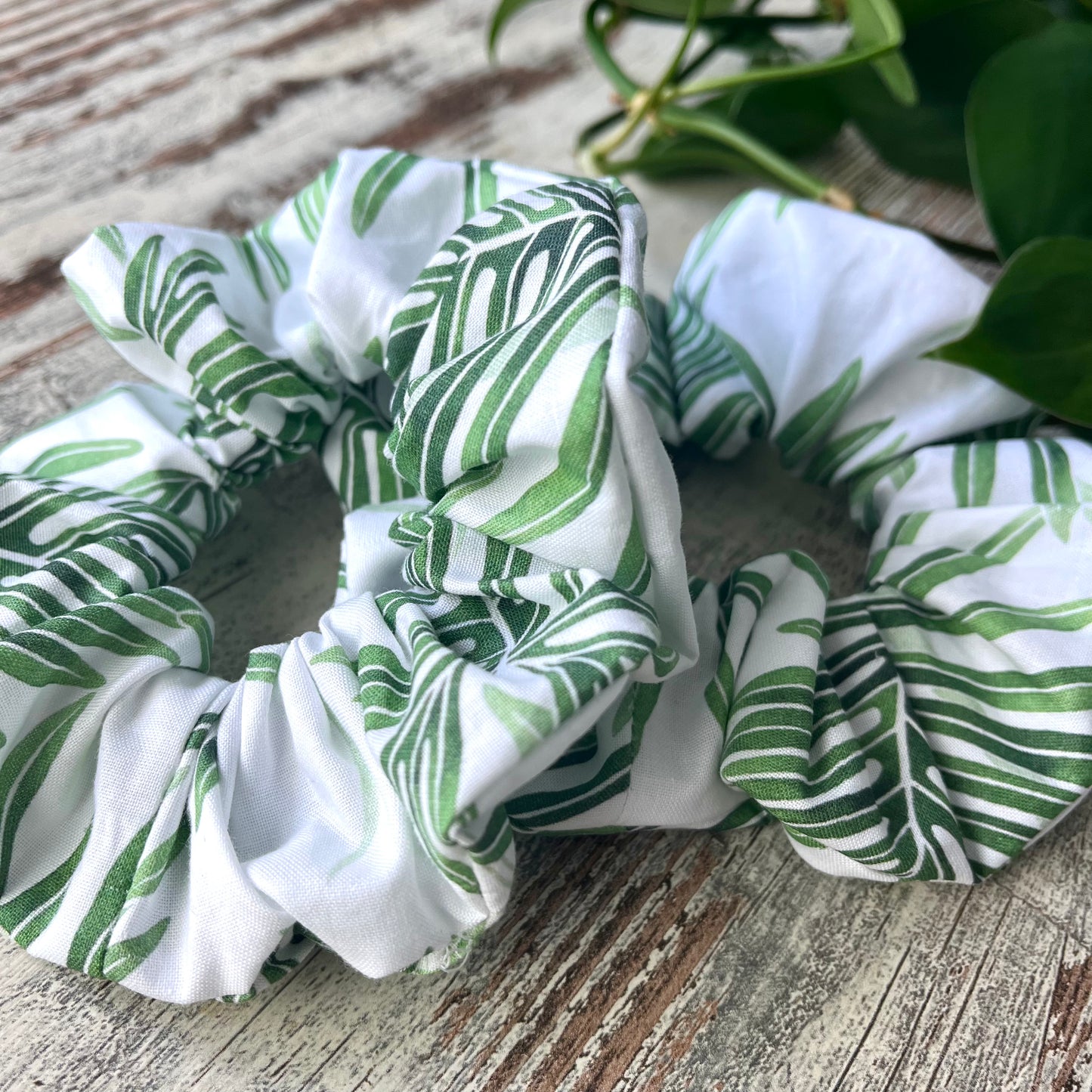 Scrunchie - Philodendron Radiatum