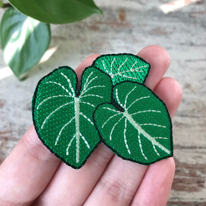 Patch Philodendron Gloriosum - 3 Blätter - wearequiethumans