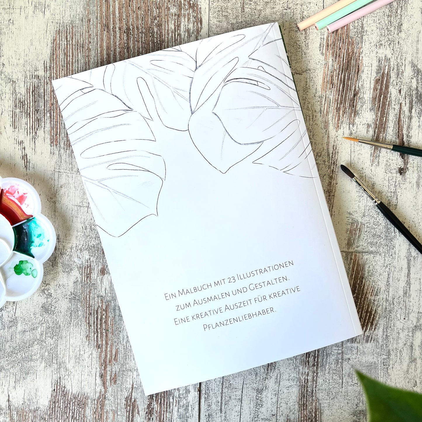 Malbuch Plantlady - Ausmalbuch für Erwachsene mit Plantladys und Zimmerpflanzen