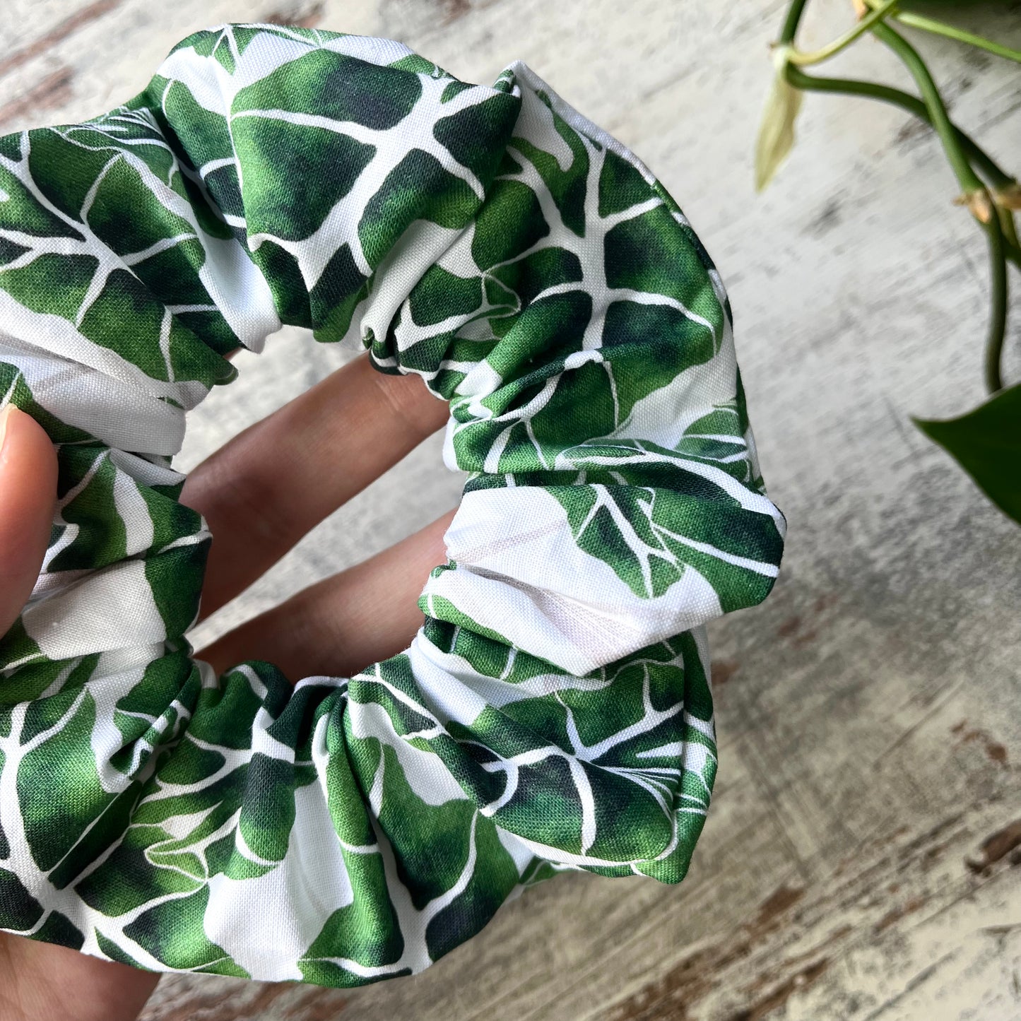 Scrunchie - Alocasia Frydek